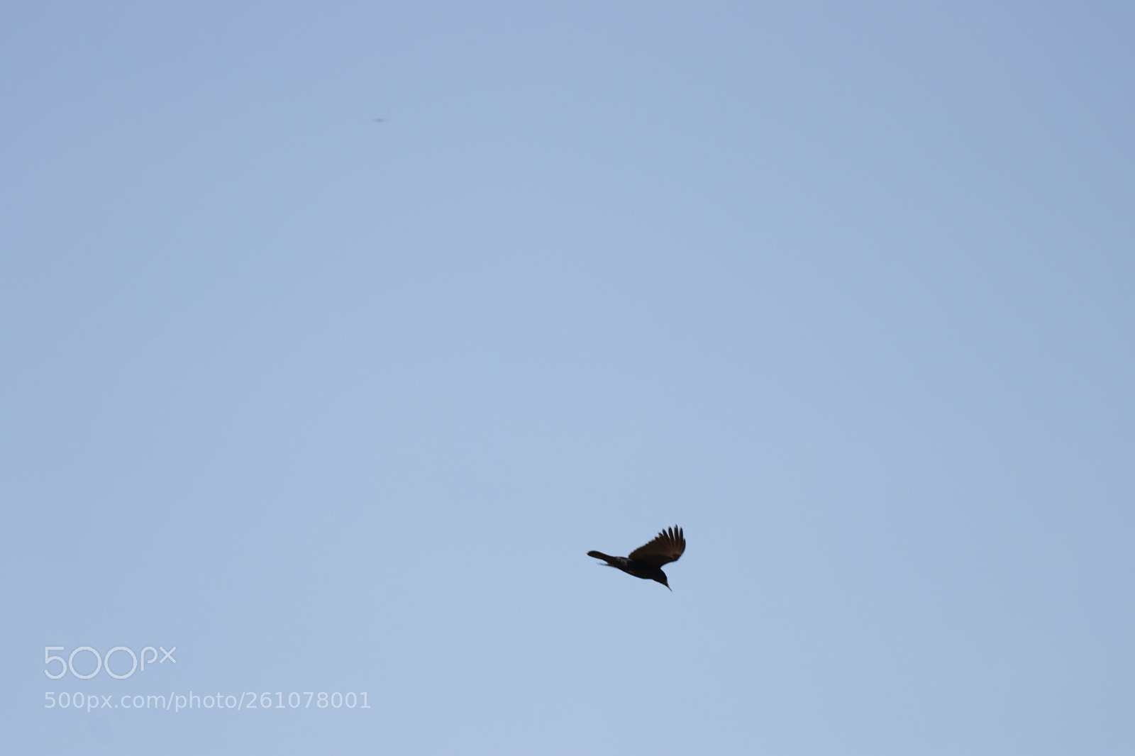 Canon EOS 80D sample photo. Img photography