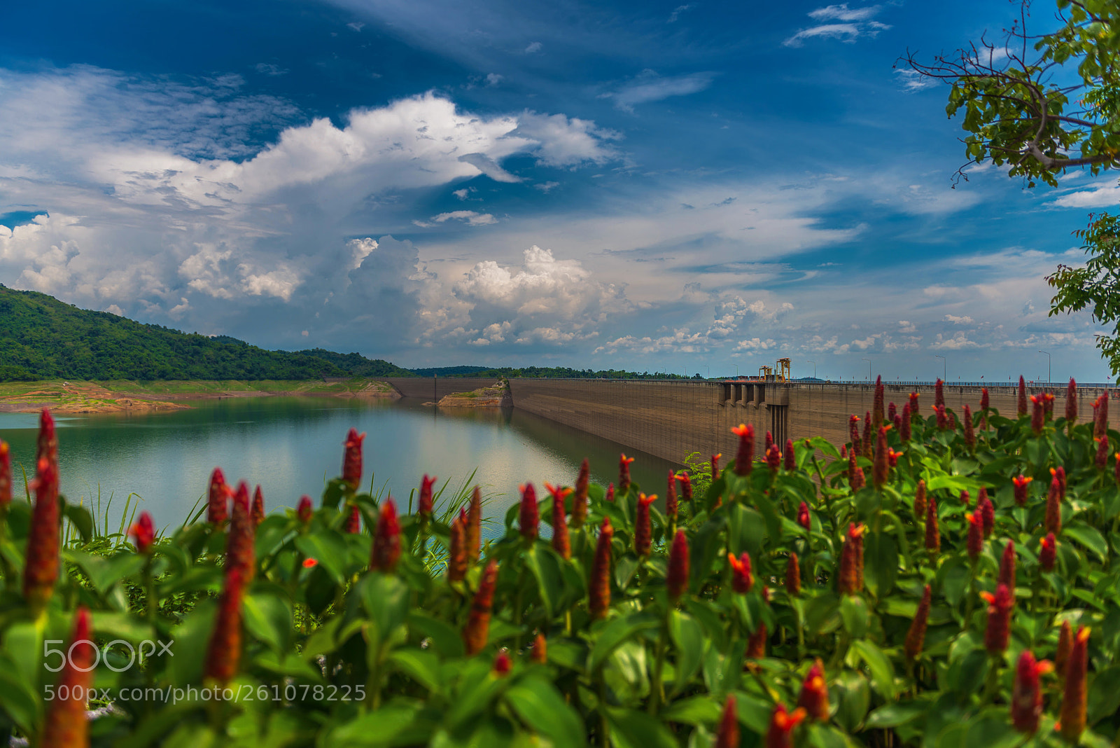 Nikon D610 sample photo. Dam photography