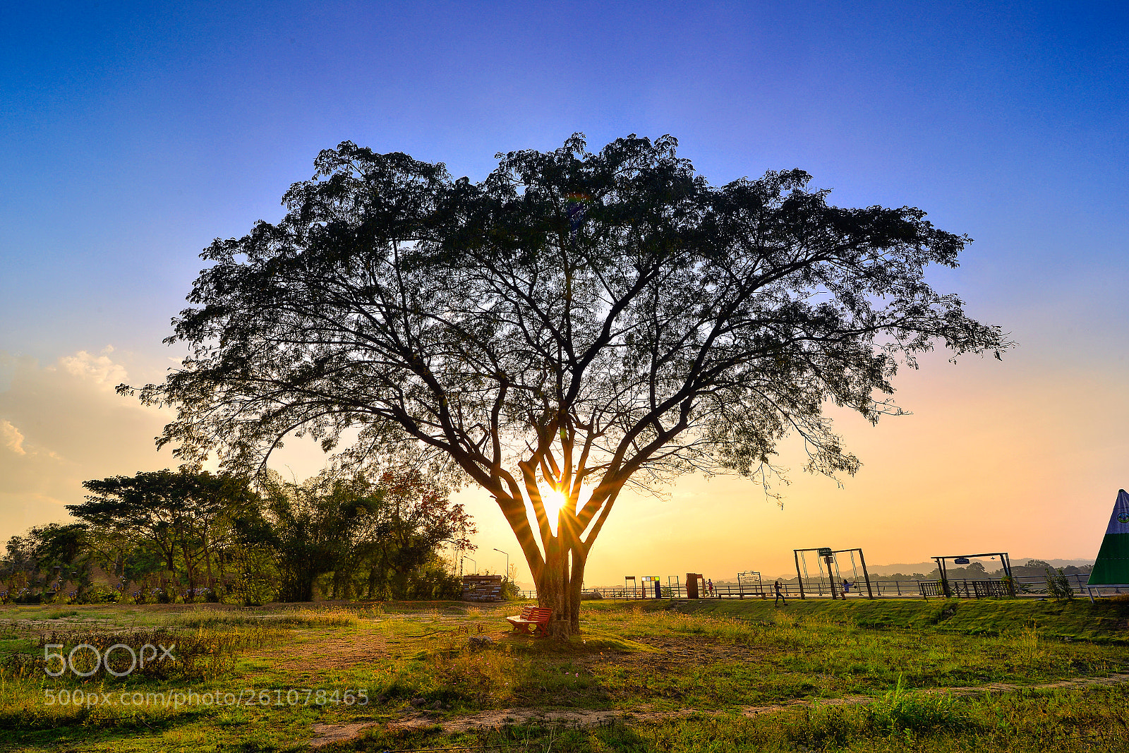 Nikon D800 sample photo. Cold light of thailand photography