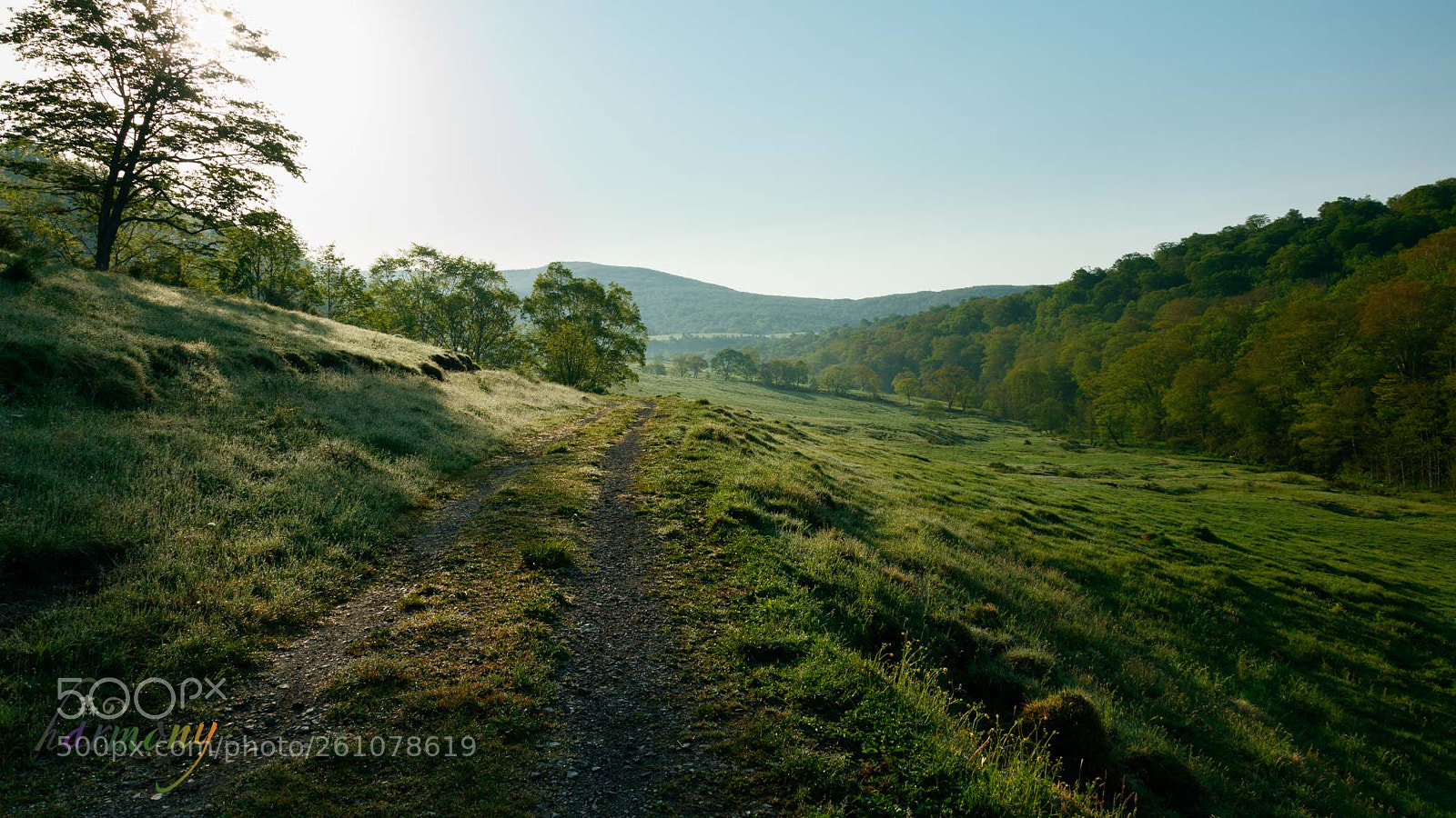 Canon EOS 5DS sample photo. Bucolic highland photography