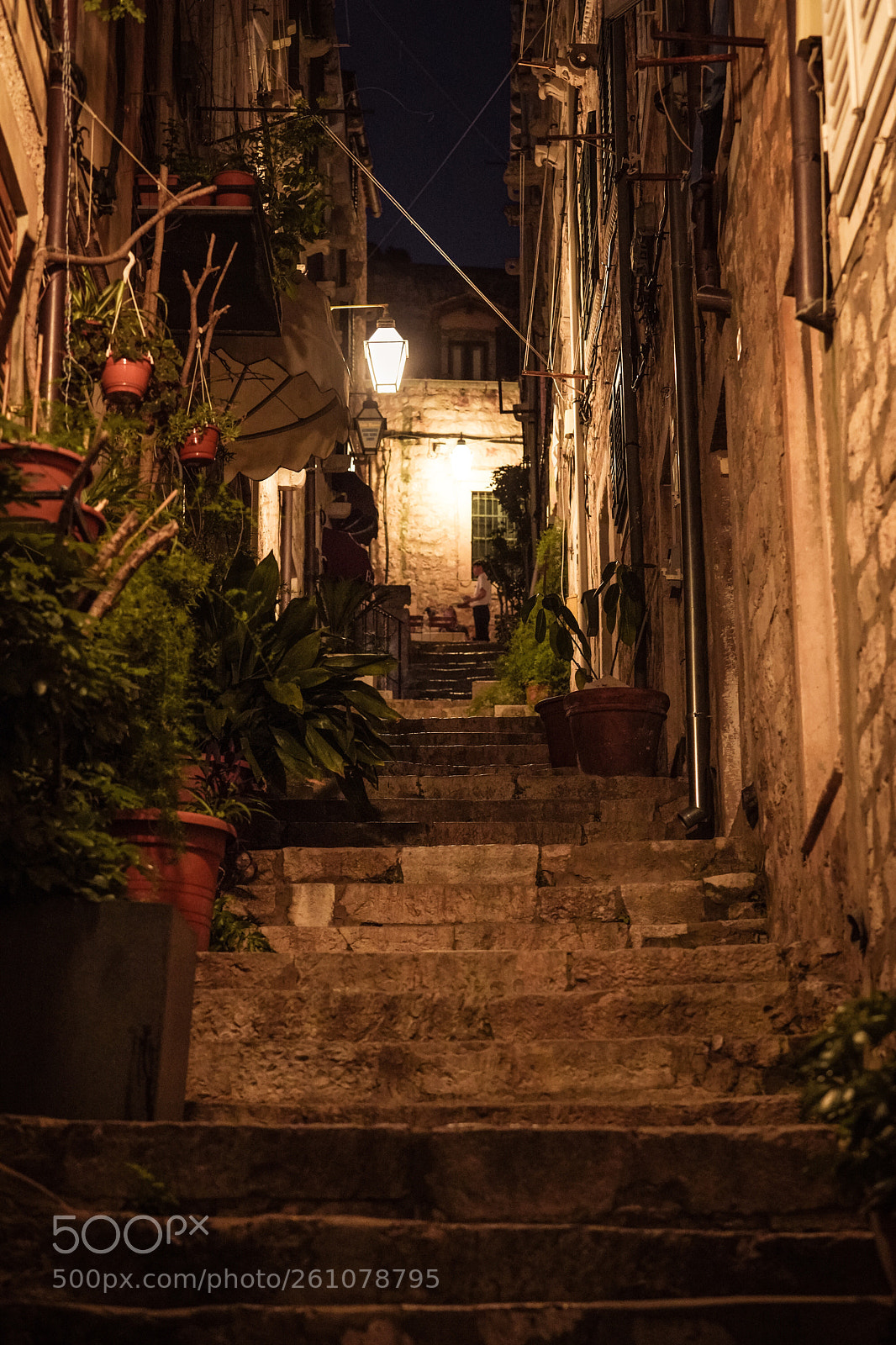 Sony a7 III sample photo. Untitled photography