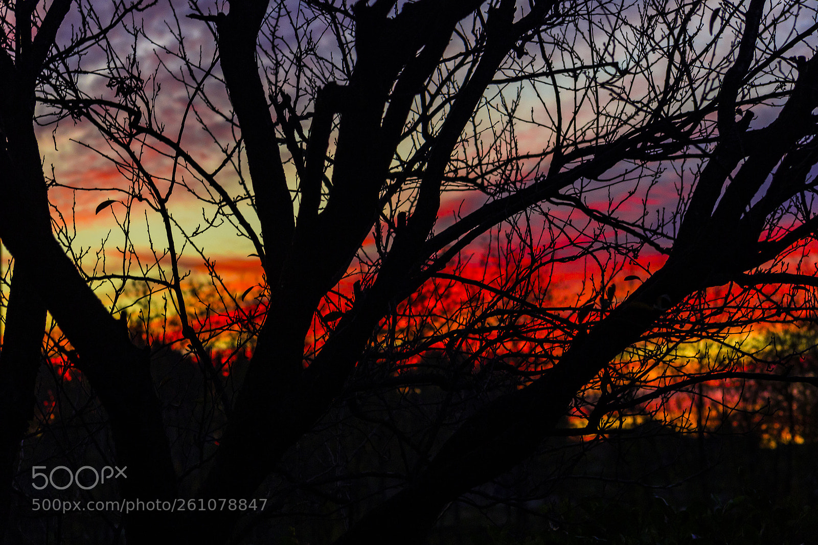 Canon EOS 1200D (EOS Rebel T5 / EOS Kiss X70 / EOS Hi) sample photo. Artistic sunset photography