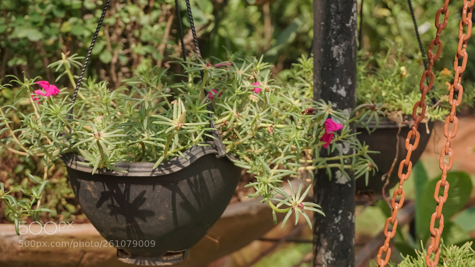 Sony a6000 sample photo. Beautiful image of natural photography