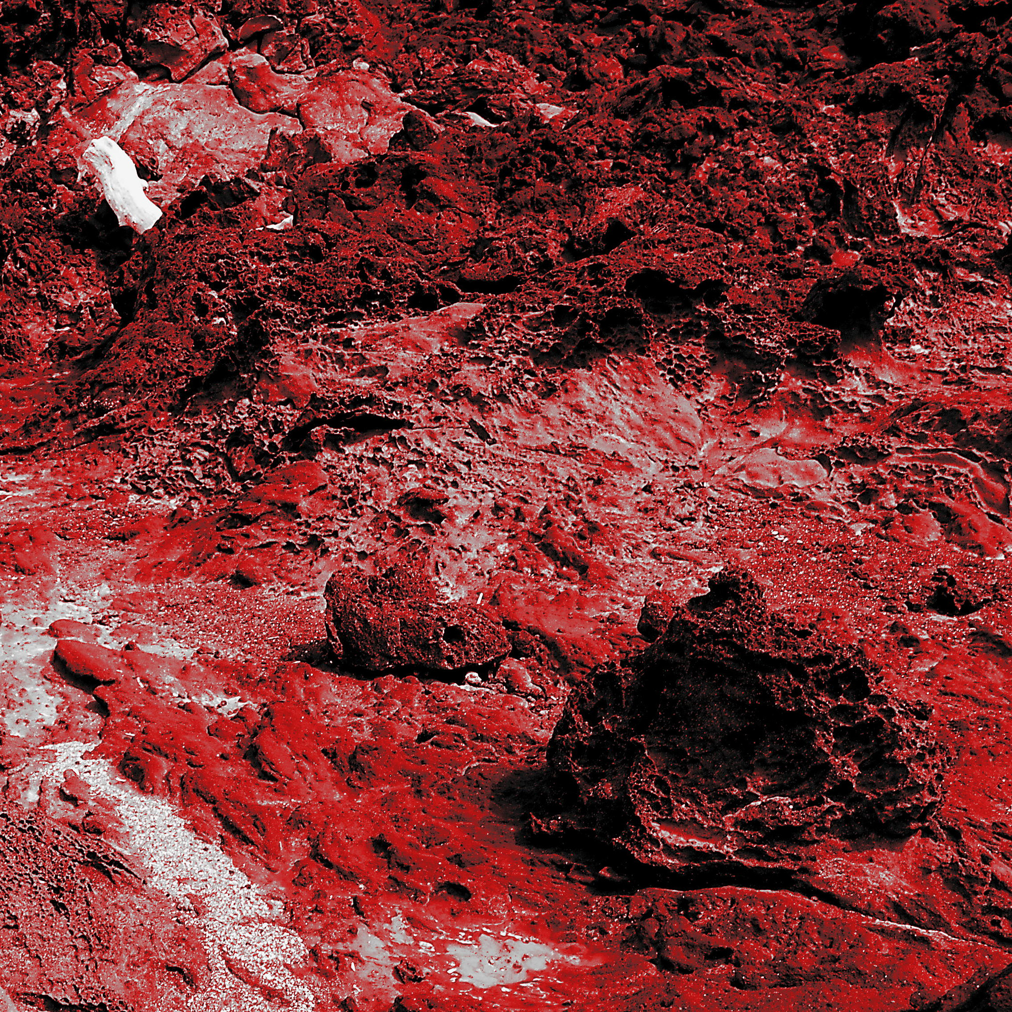 Olympus PEN E-P1 sample photo. Red volcanic lava photography