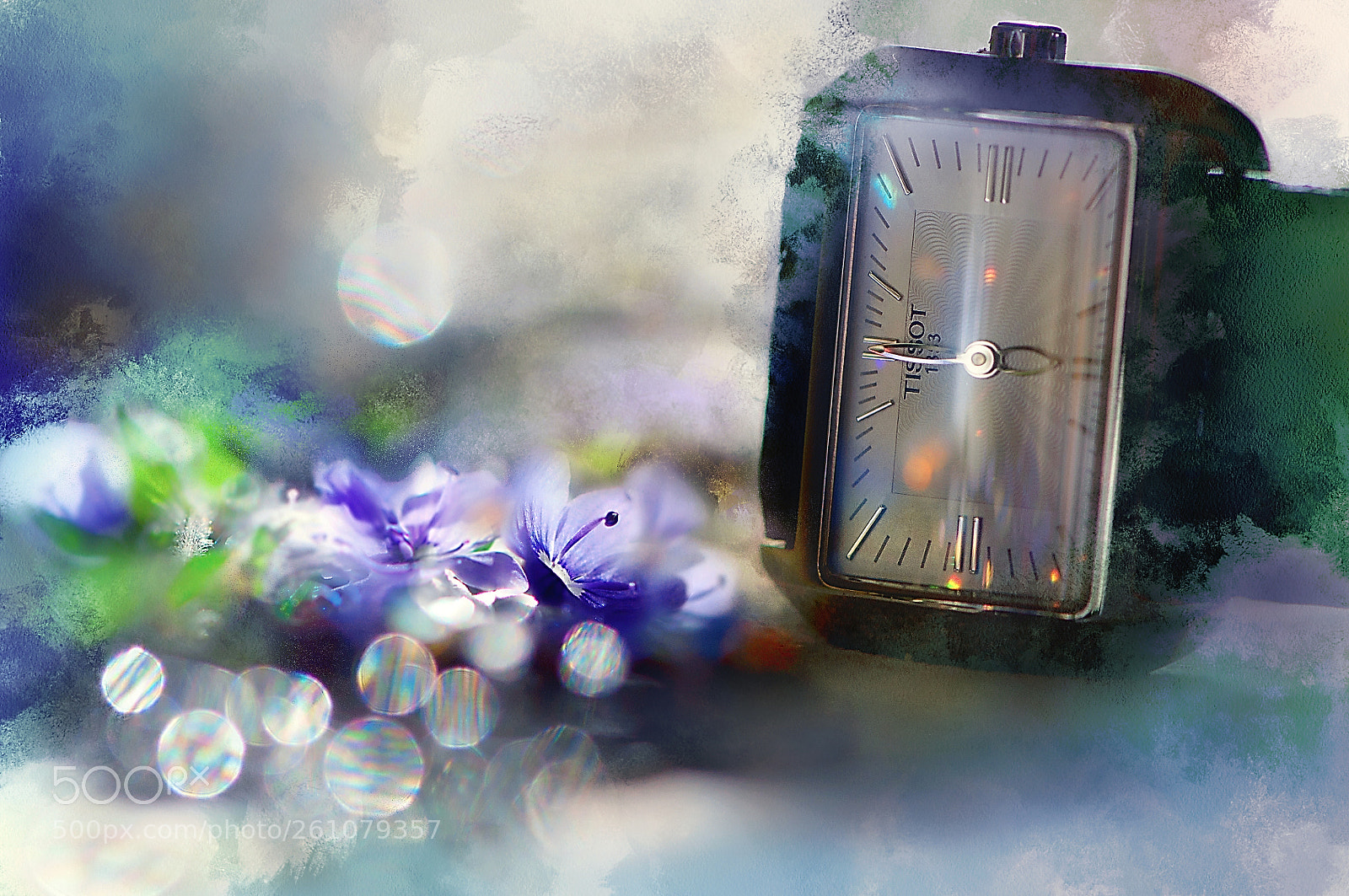 Nikon D90 sample photo. Twinkle second of june photography