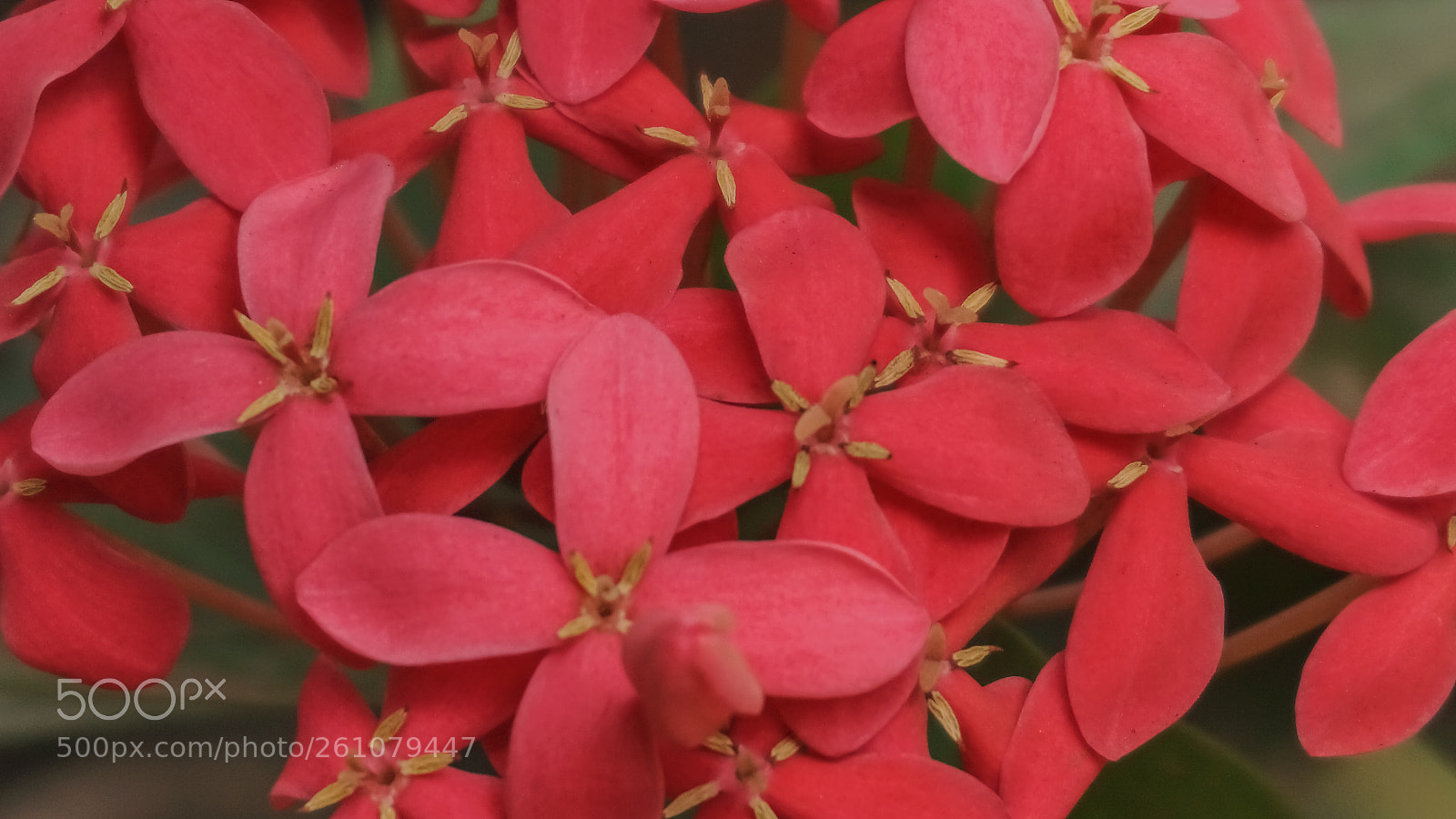 Sony a6000 sample photo. Beautiful image of natural photography