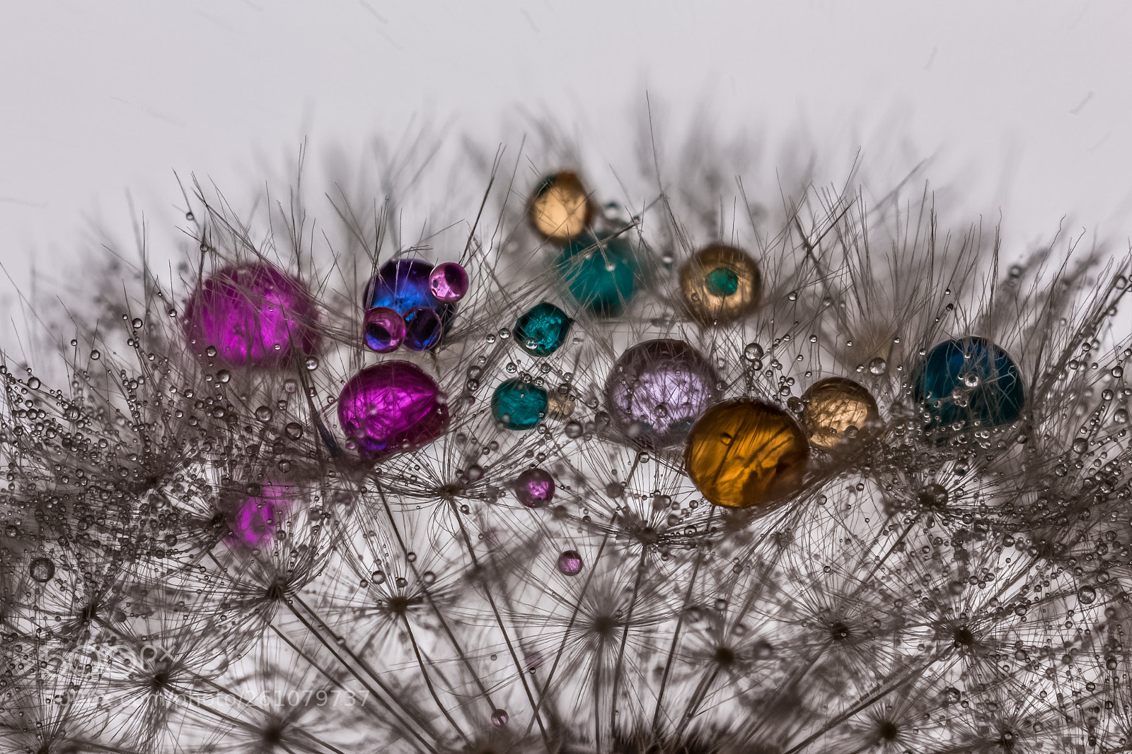 Canon EOS 6D sample photo. Small colored universe photography