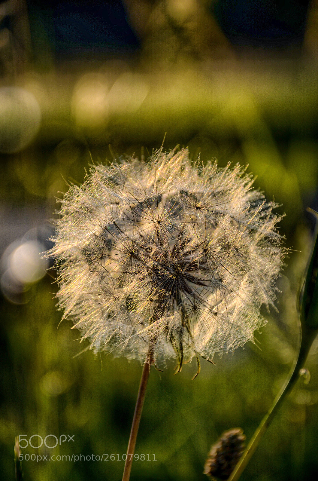 Nikon D7000 sample photo. Evening photography