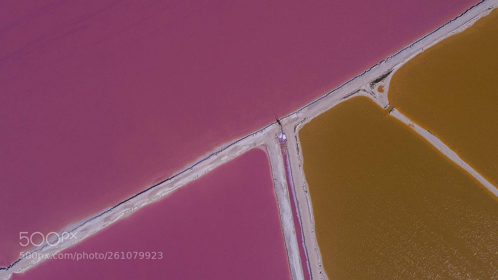 DJI FC6310 sample photo. Pink coloradas photography