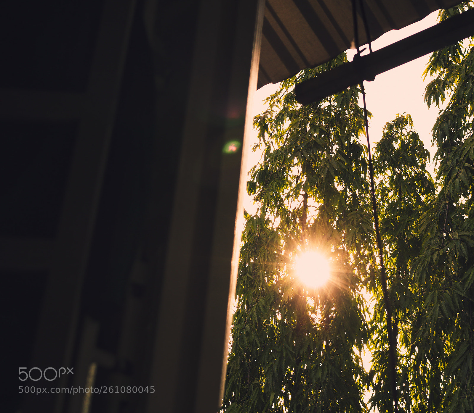 Canon EOS 750D (EOS Rebel T6i / EOS Kiss X8i) sample photo. Sunlight photography