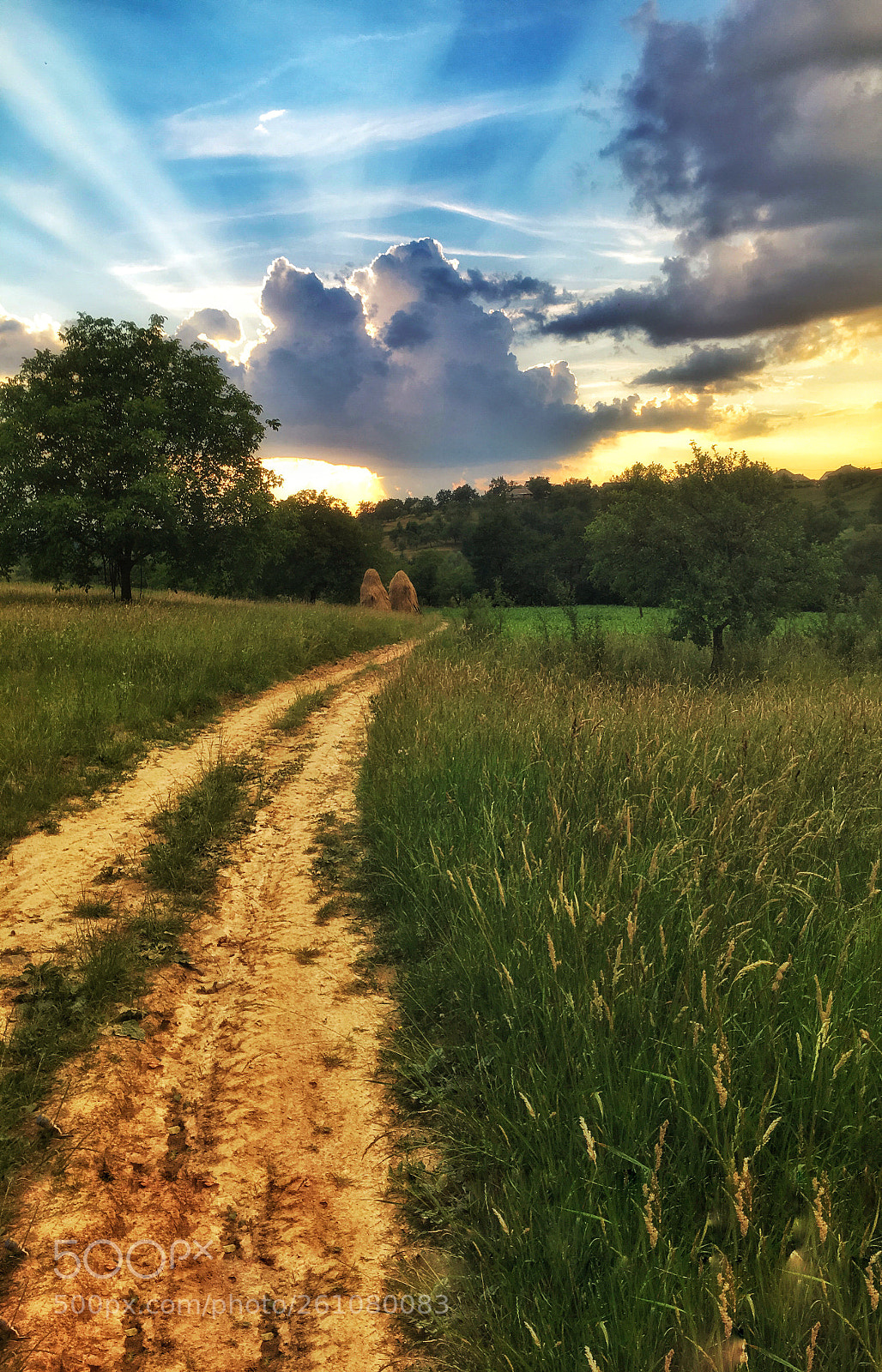 Apple iPhone 6s sample photo. Road to the sunset photography