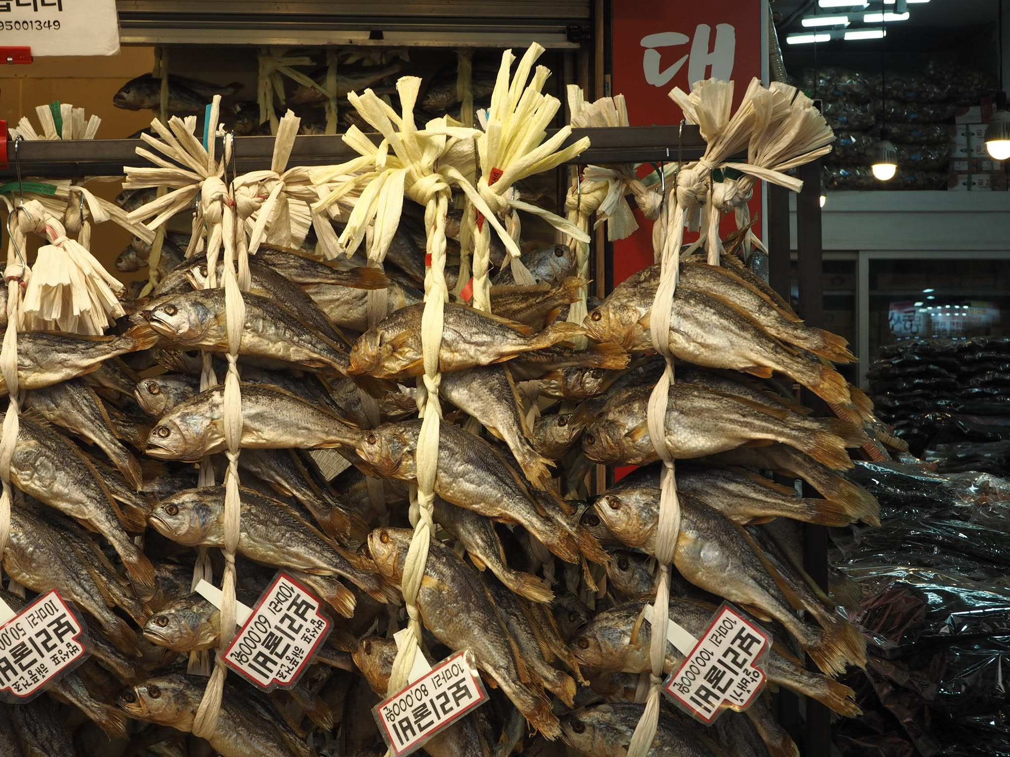 Olympus PEN E-PL7 sample photo. Dia 4. photography