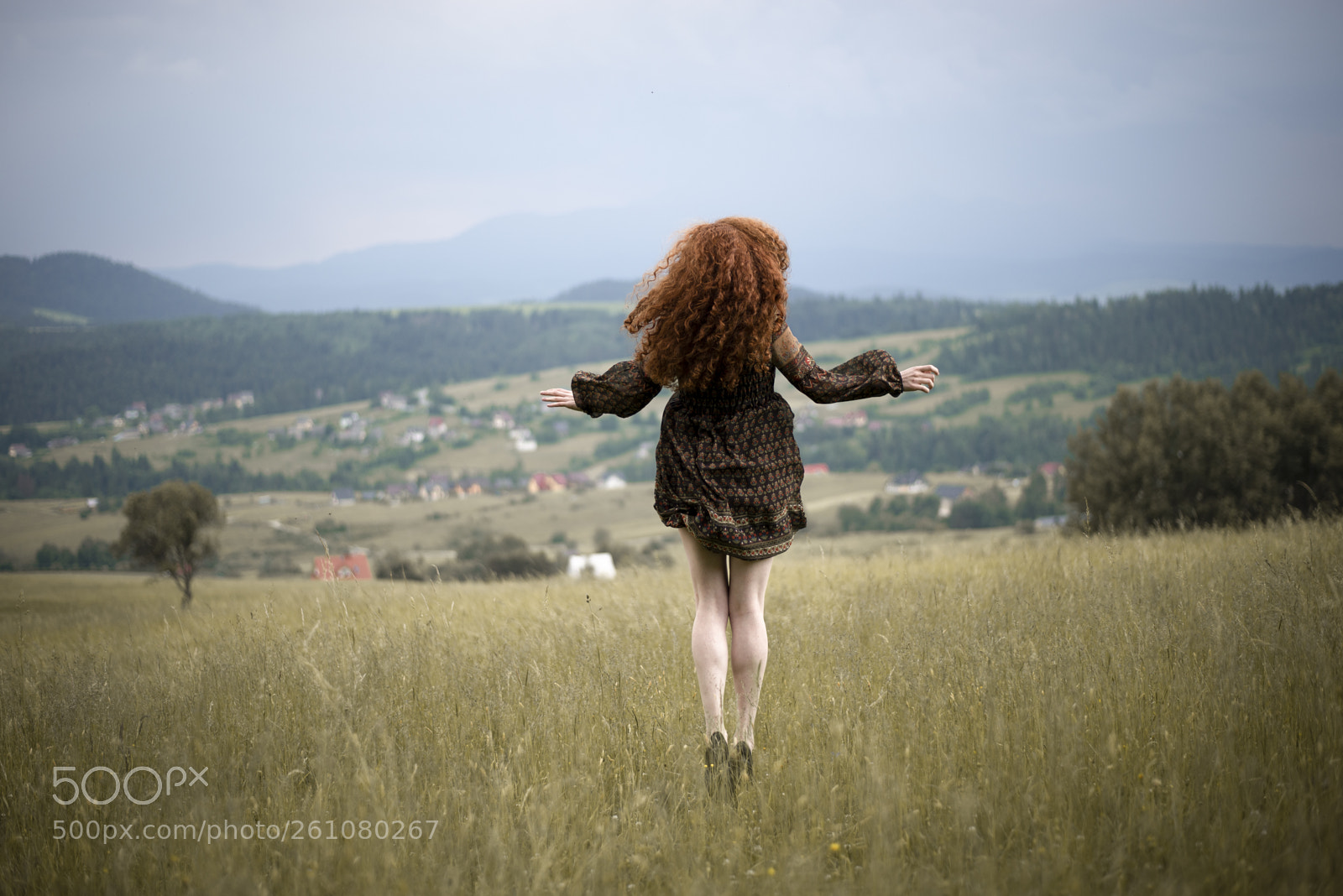 Nikon D610 sample photo. Freedom ! photography