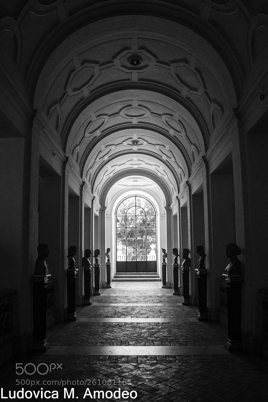 Nikon D3100 sample photo. Accademia dei lincei photography
