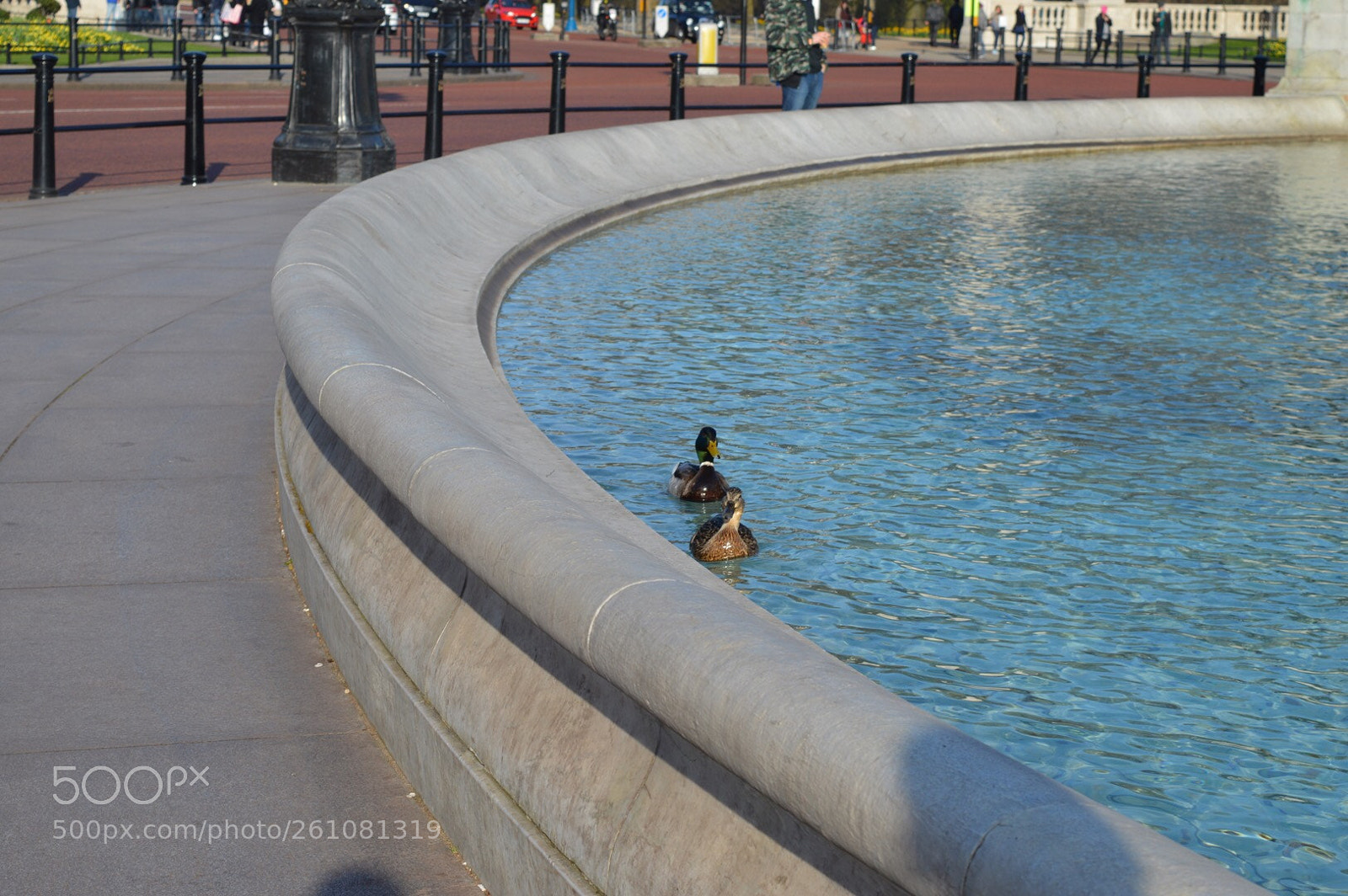 Nikon D3200 sample photo. Untitled photography
