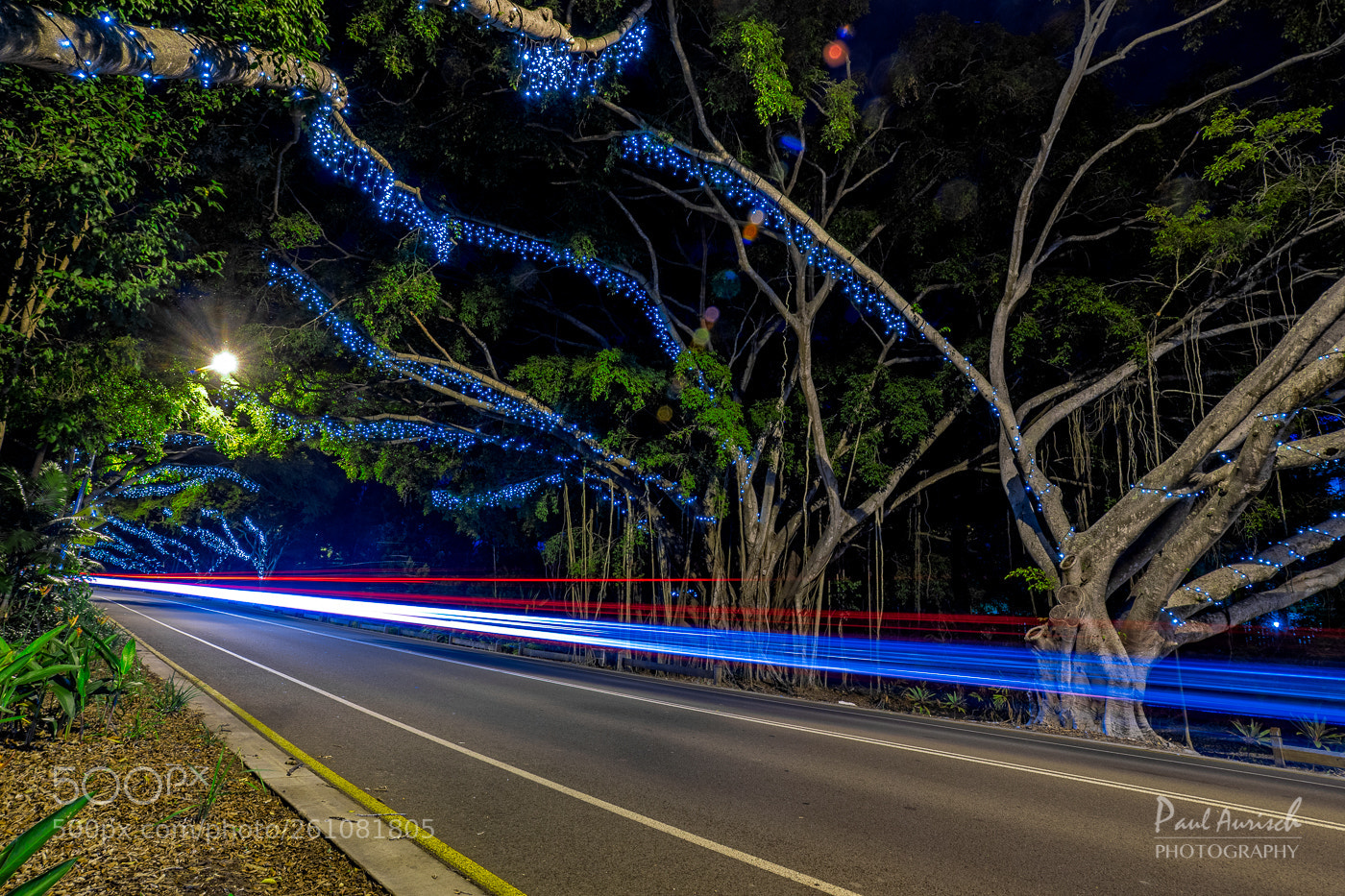 Nikon D500 sample photo. Hervey bay light tralis photography