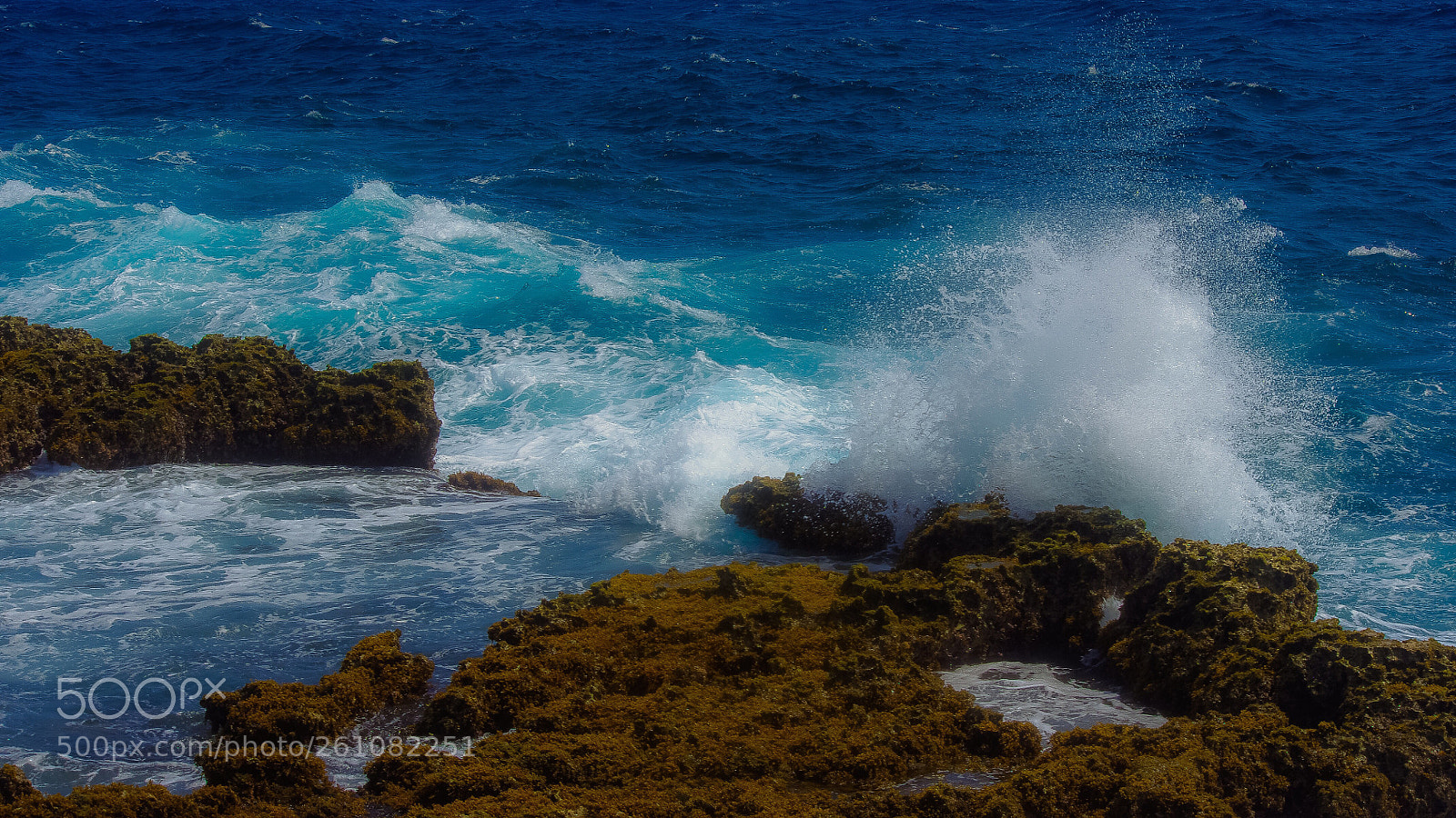 Pentax K-x sample photo. Catch a wave  photography