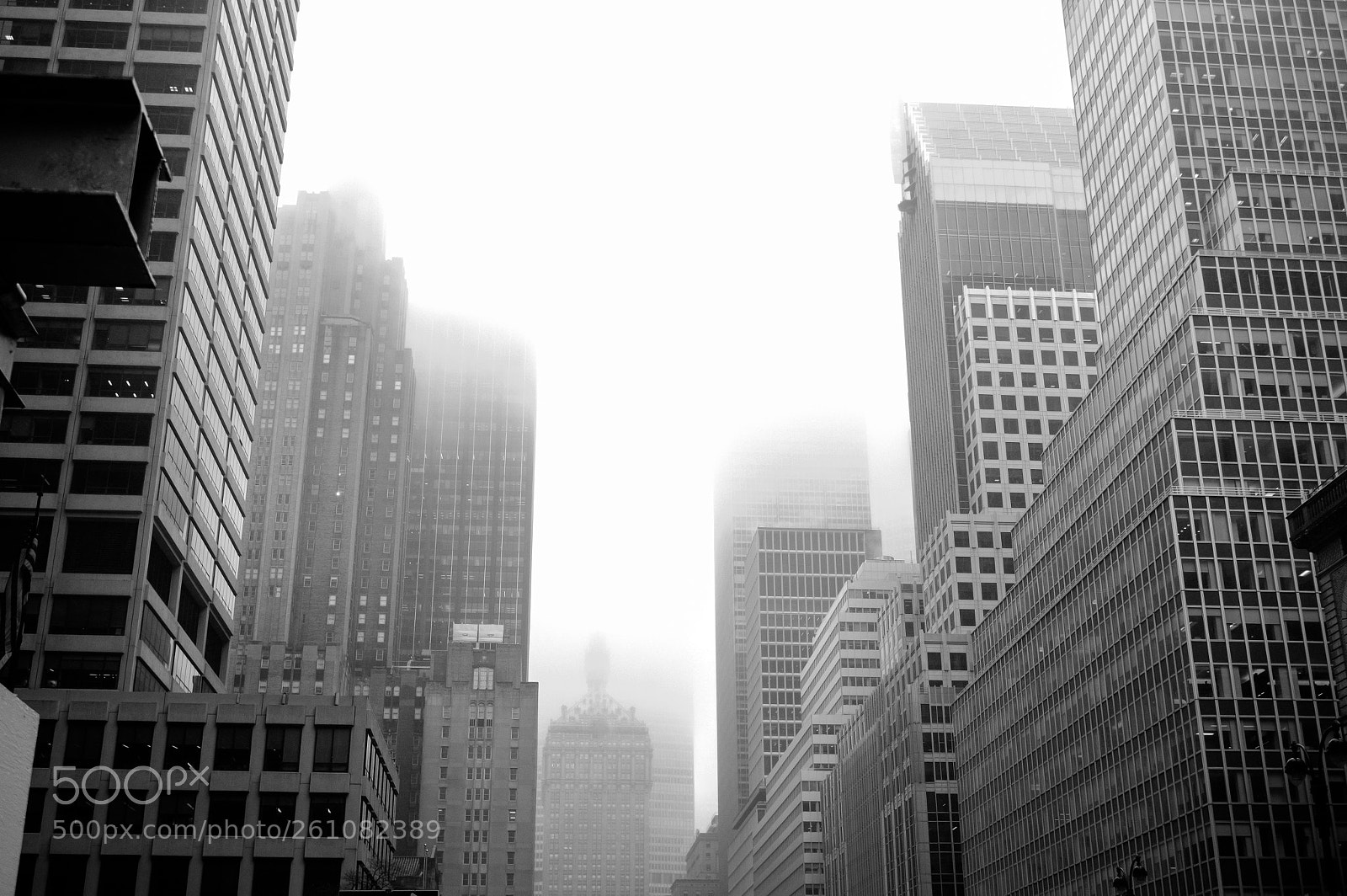 Fujifilm X-T10 sample photo. Mist photography