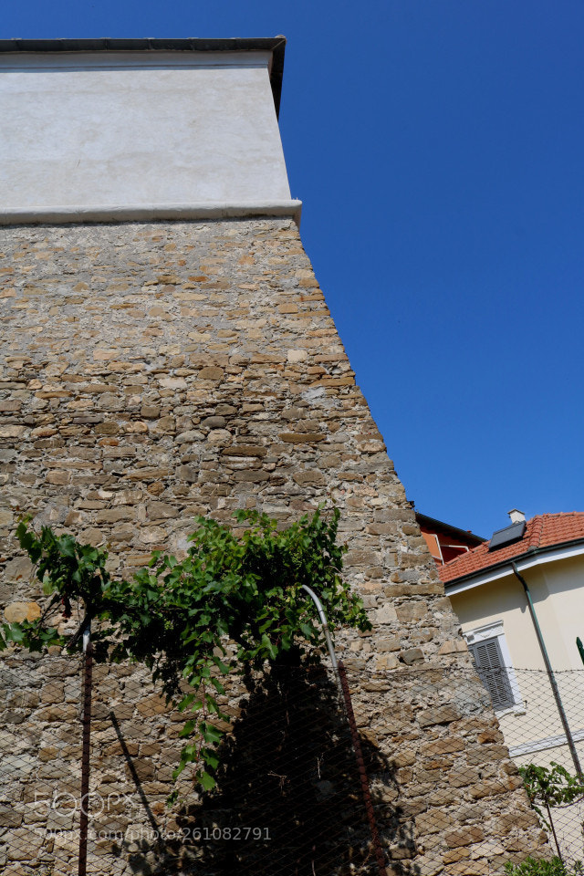 Canon EOS 750D (EOS Rebel T6i / EOS Kiss X8i) sample photo. Ospedaletti (im): torre antiturchesca photography