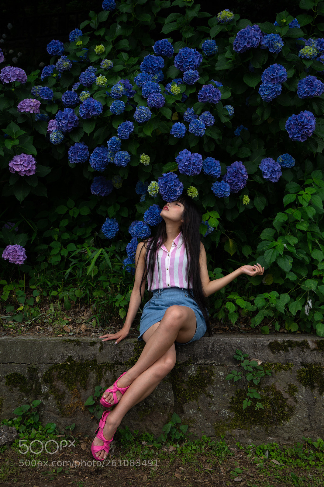 Sony a7 II sample photo. Rui photography