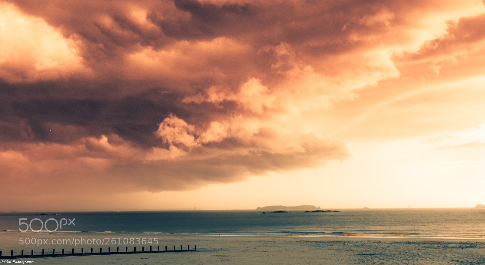 Nikon D5600 sample photo. Tempest is coming photography