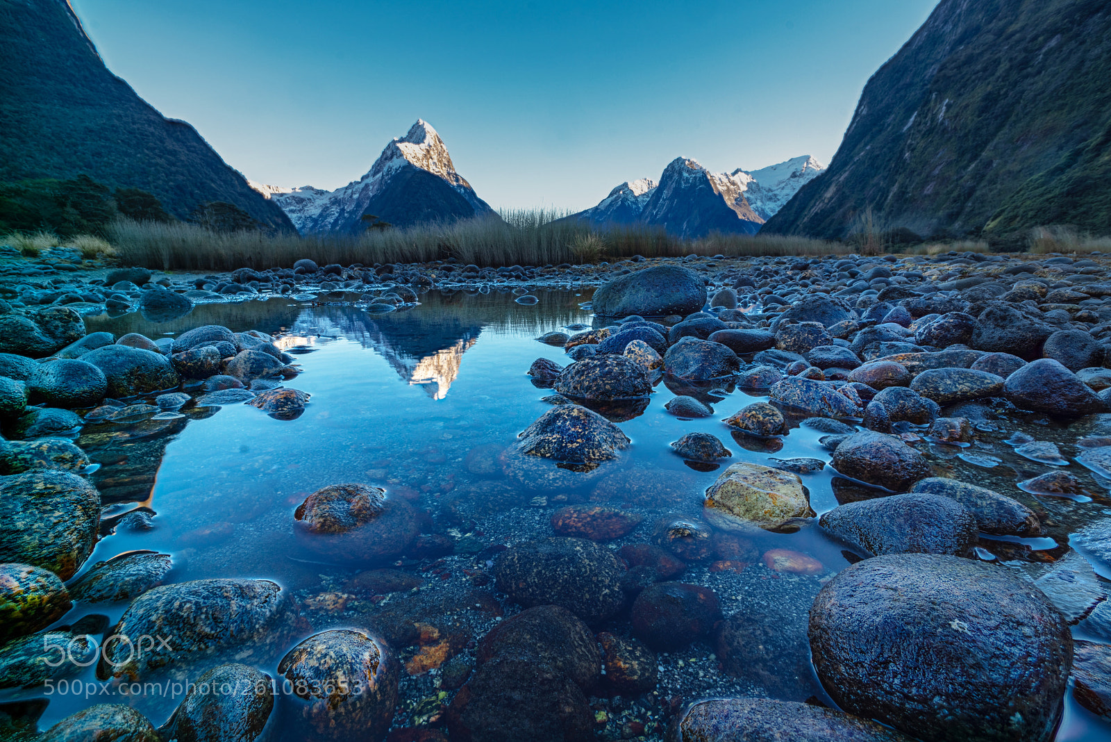 Sony a7R III sample photo. Milford sound sunrise photography
