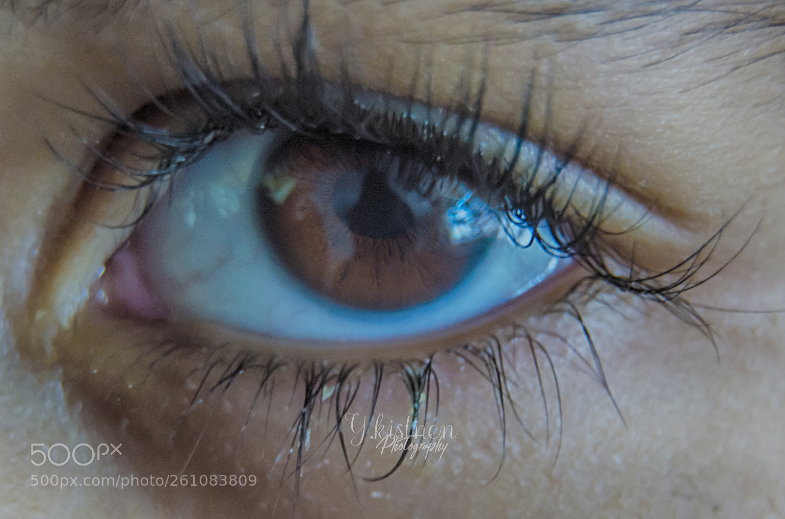 Nikon D7000 sample photo. An eye photography