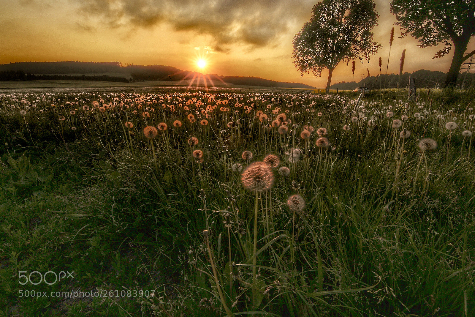 Canon EOS 6D sample photo. Spring evening photography