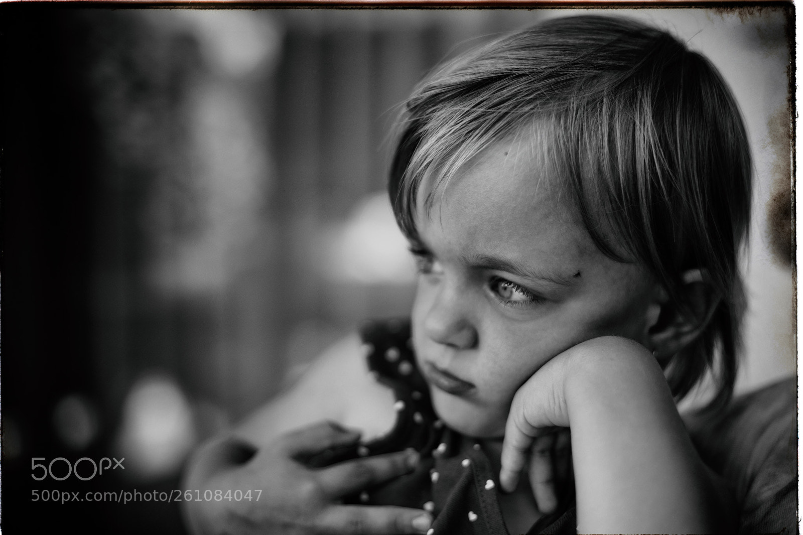 Canon EOS 6D Mark II sample photo. Thinking about photography