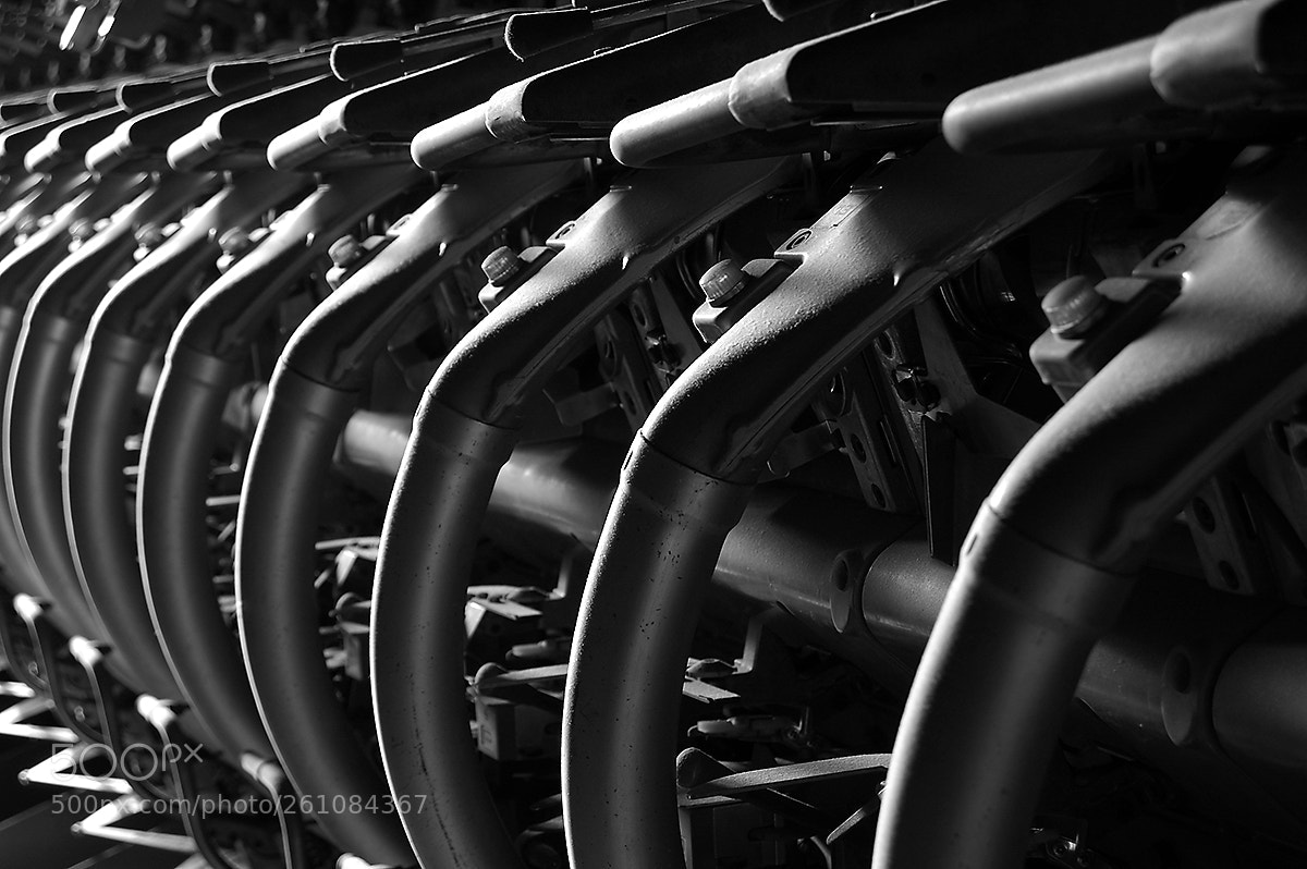 Nikon D50 sample photo. Bw photography