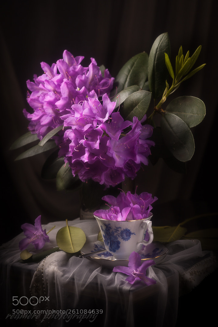 Canon EOS 5D Mark II sample photo. Overflowing photography