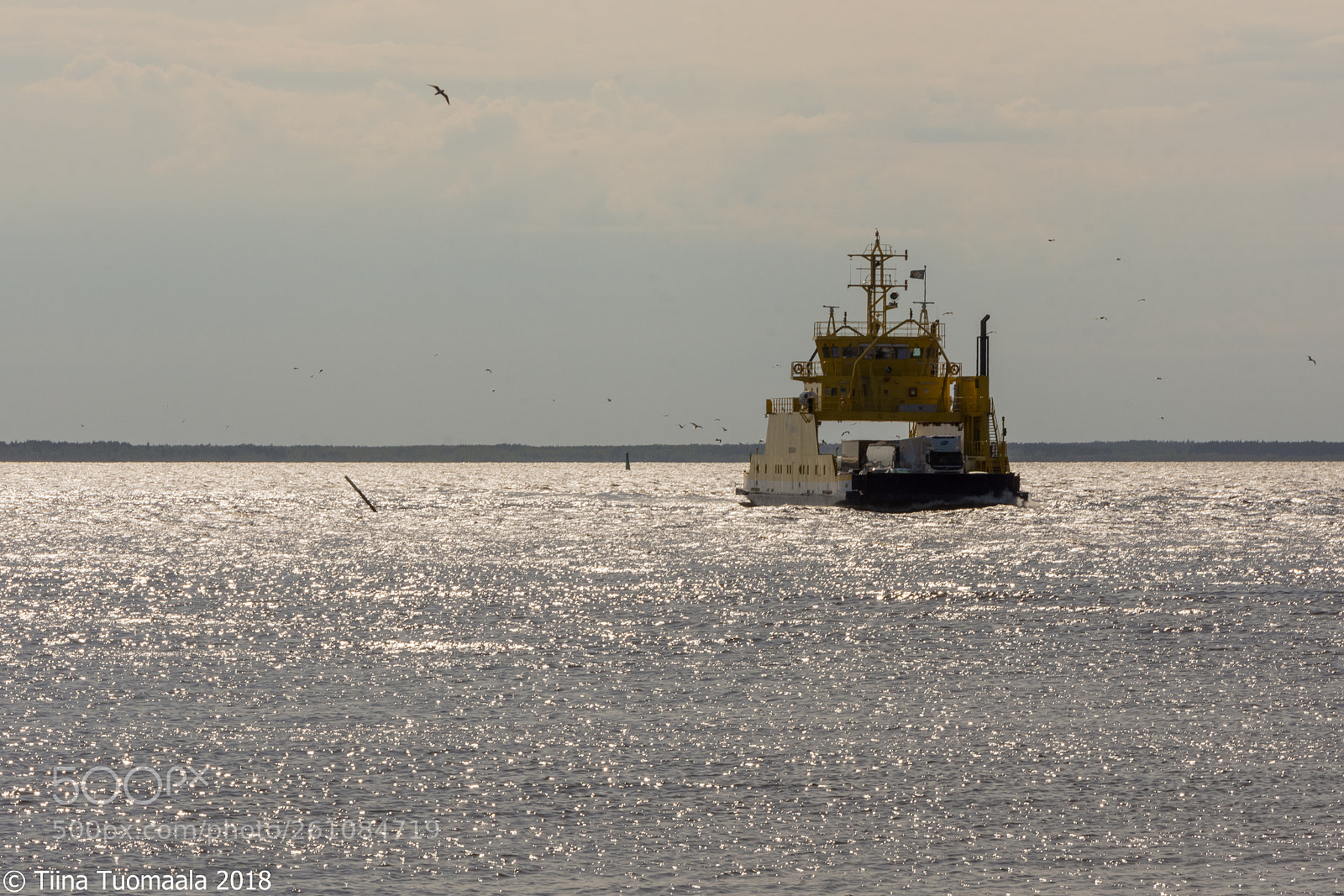 Nikon D7200 sample photo. Ferry photography