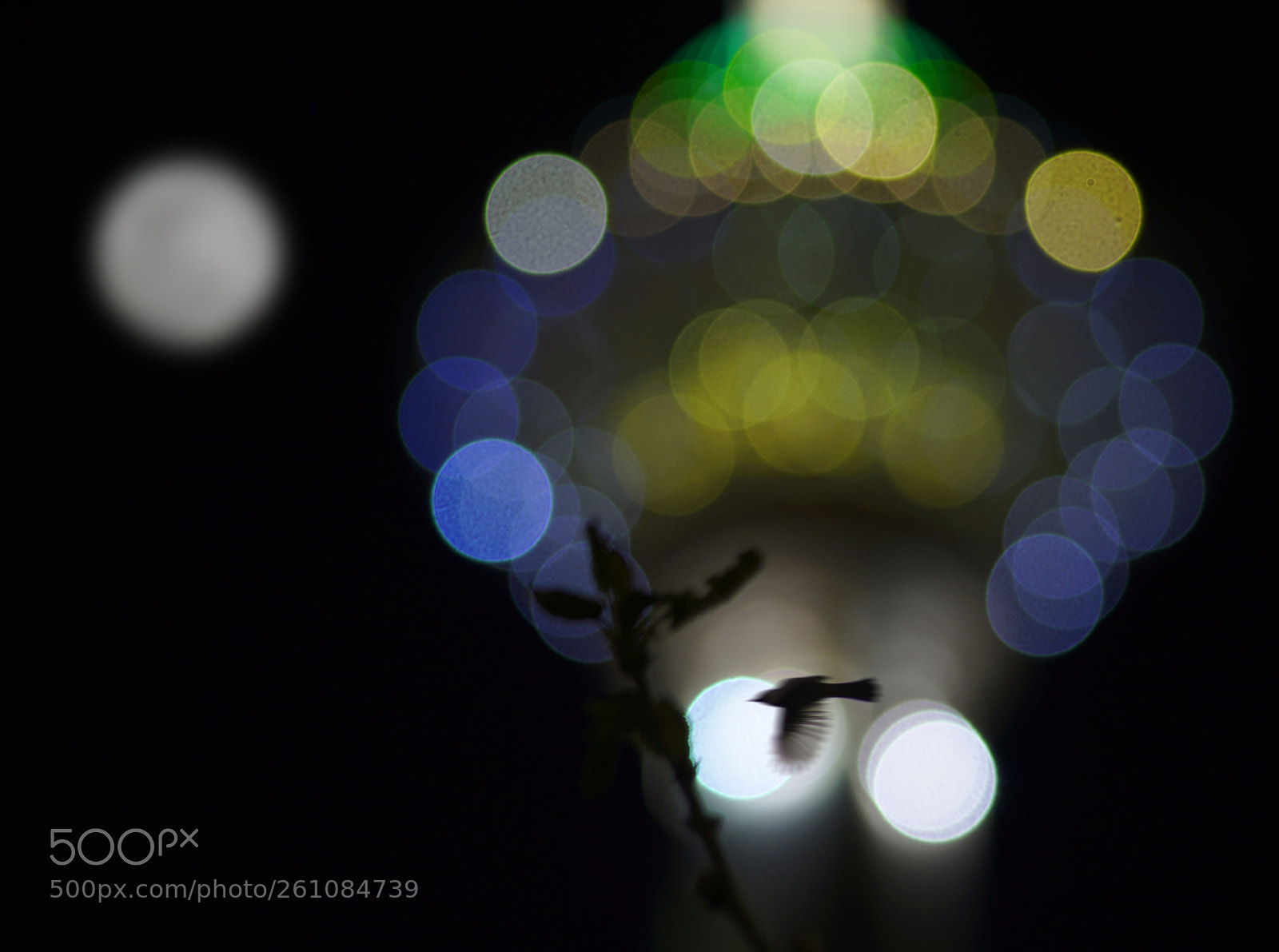 Sony a7R II sample photo. Flying at night photography