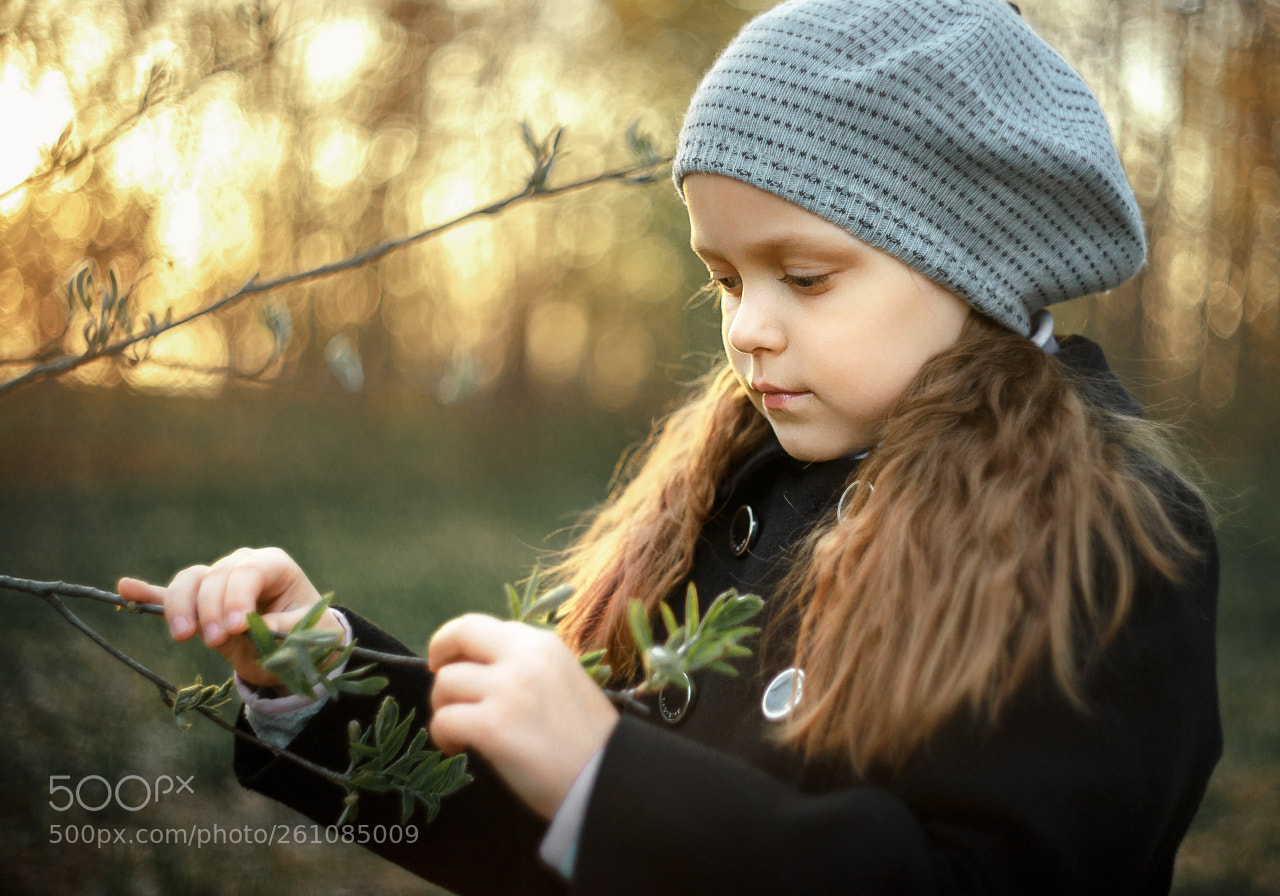 Canon EOS 6D sample photo. *** photography