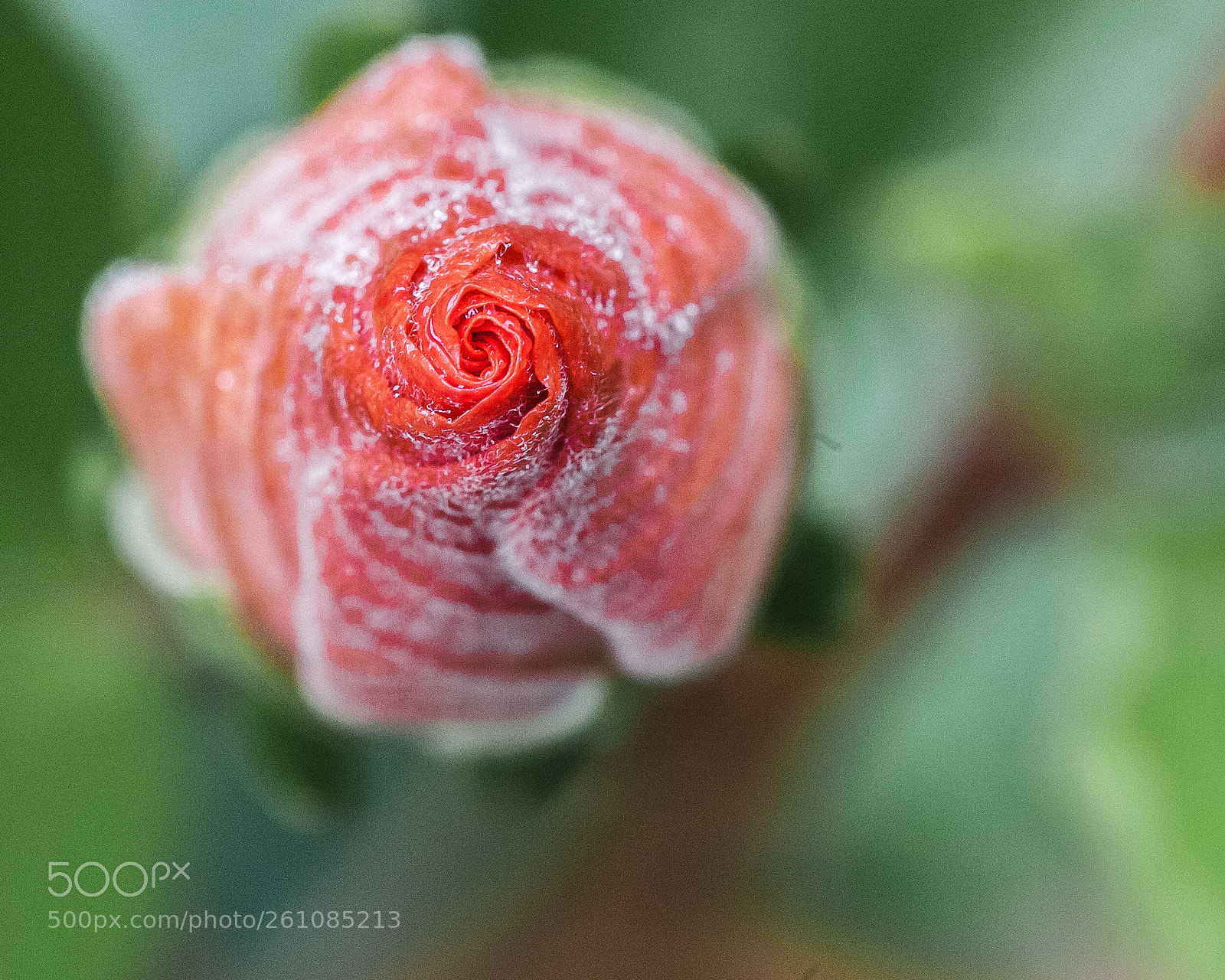 Canon EOS 5D Mark II sample photo. Sprial photography
