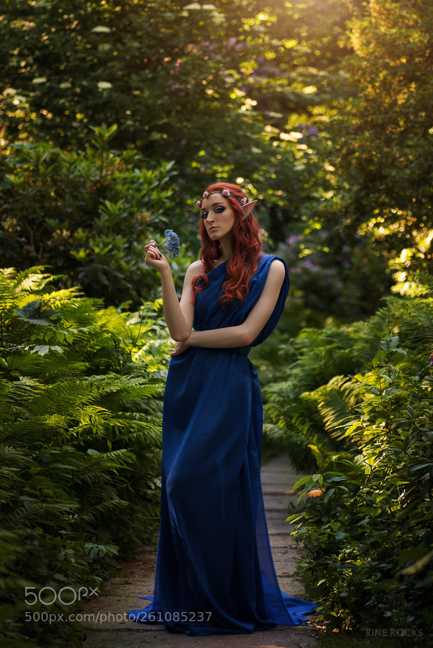 Nikon D610 sample photo. Elf photography