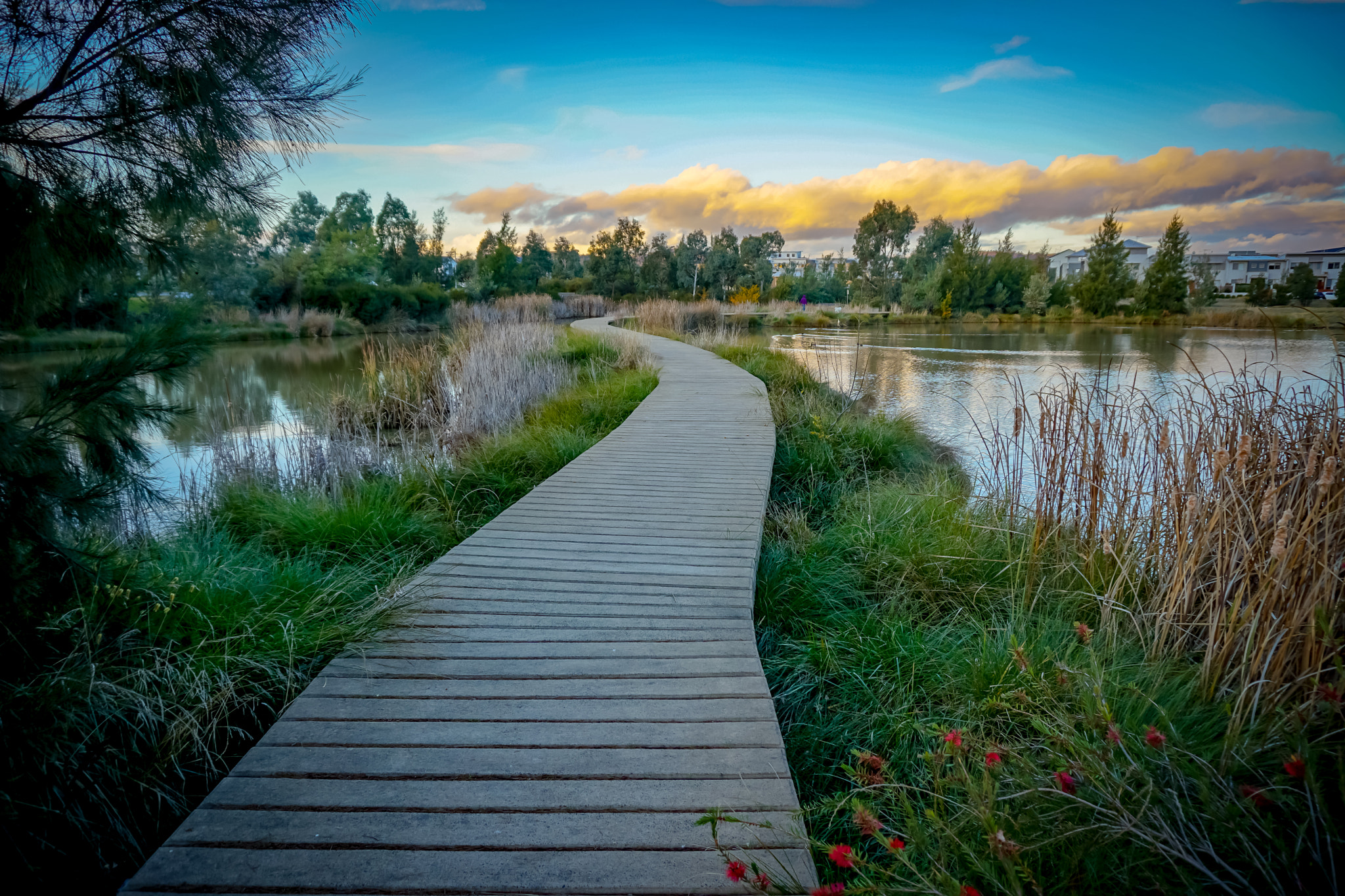 Sony a5100 sample photo. Park path photography