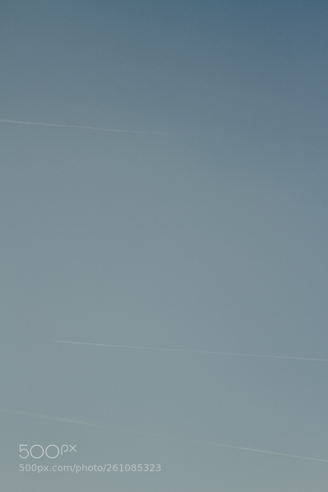 Canon EOS 7D sample photo. Fly photography