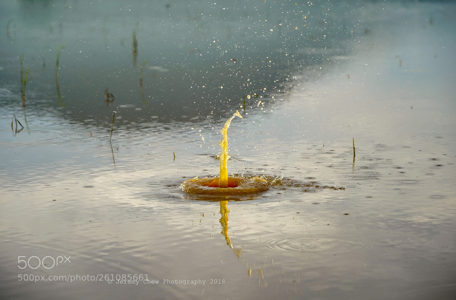 Sony a7 III sample photo. High speed splash  photography