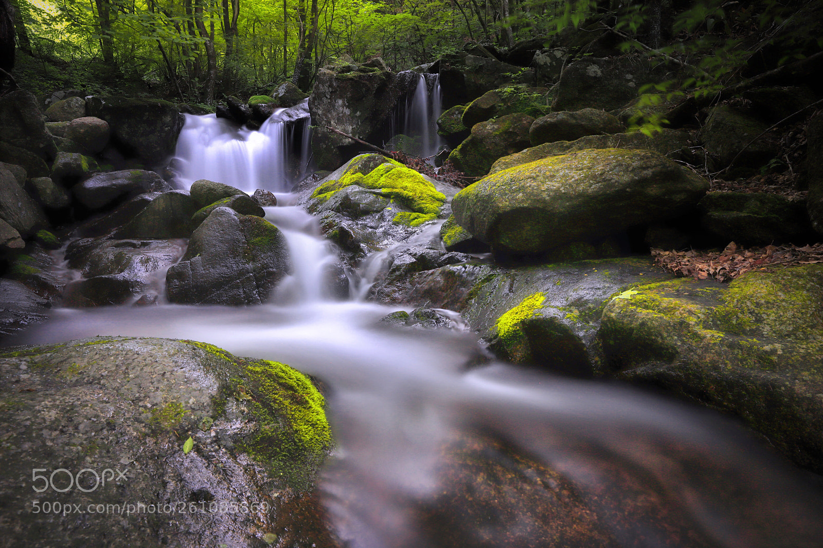 Canon EOS 6D Mark II sample photo. 小白山 deep inside valley photography