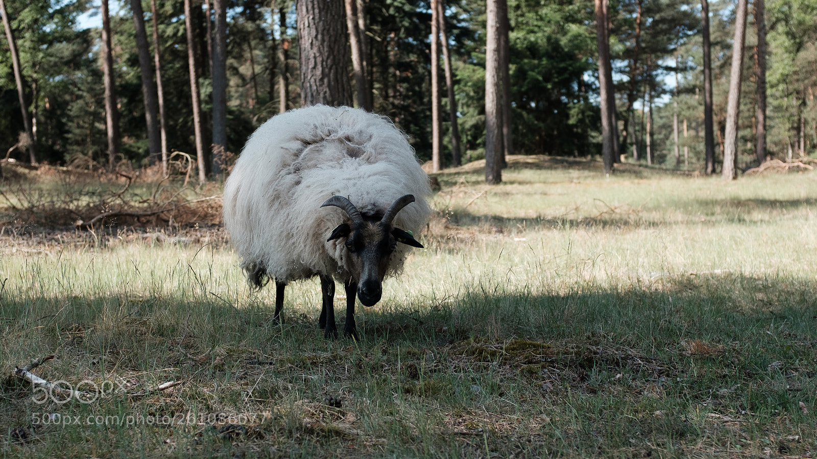 Fujifilm X100F sample photo. Untitled photography