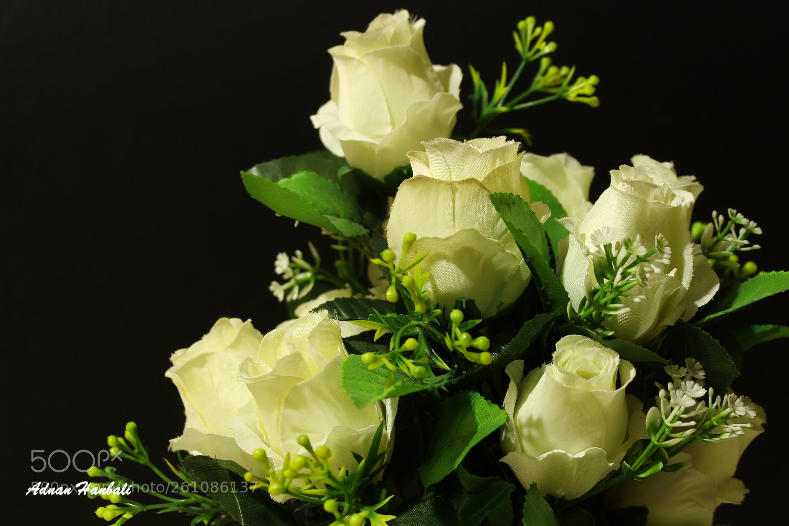 Canon EOS 700D (EOS Rebel T5i / EOS Kiss X7i) sample photo. White color photography