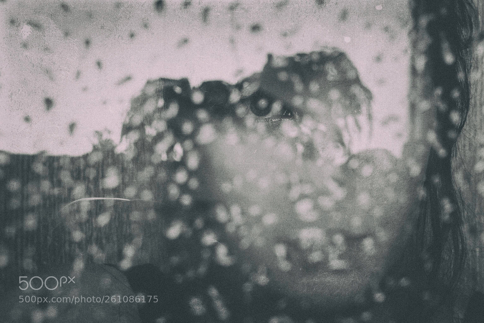 Nikon D5200 sample photo. ... photography