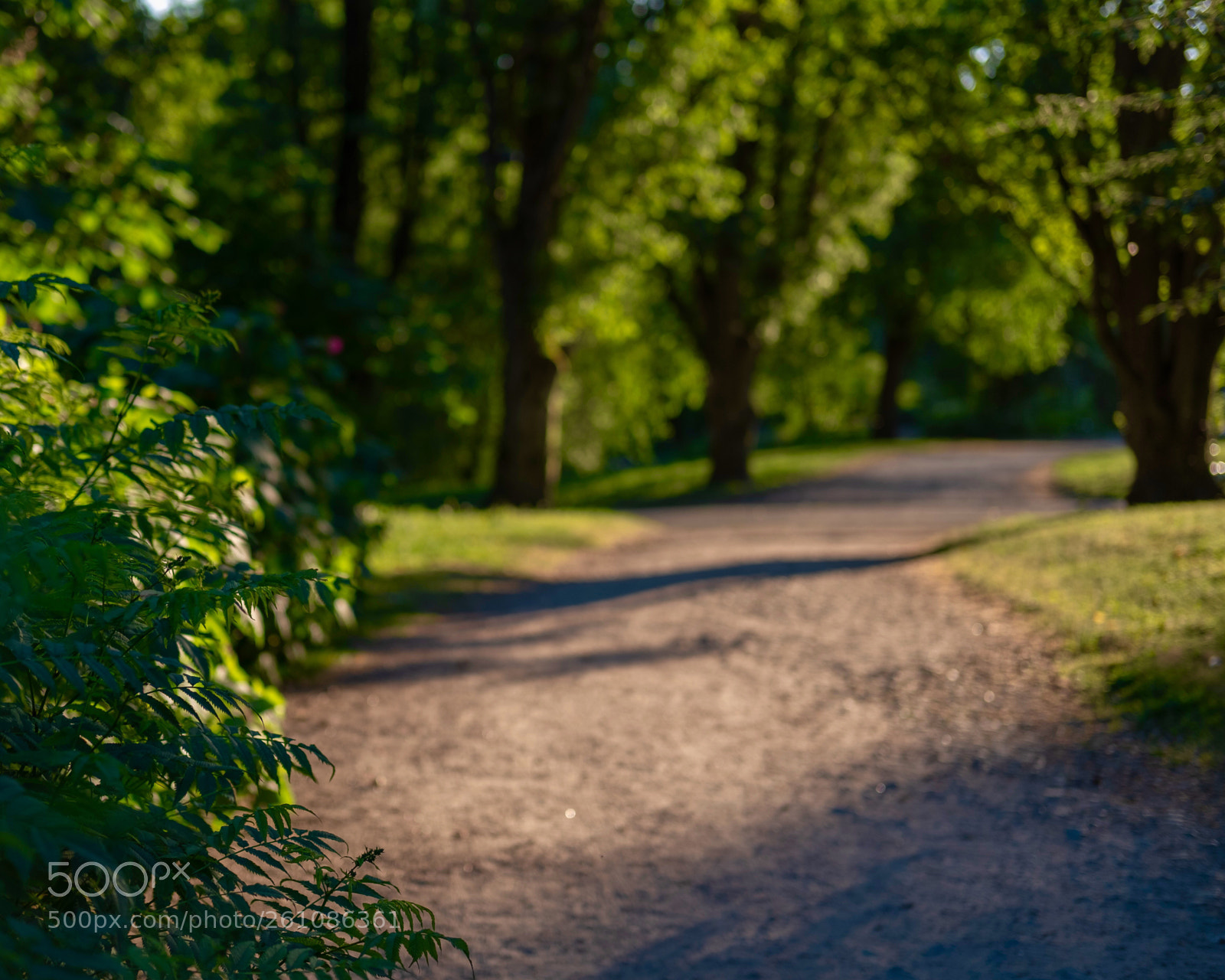 Fujifilm X-T20 sample photo. Evening stroll photography