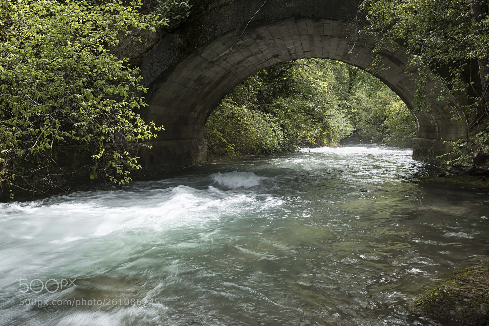 Canon EOS 6D Mark II sample photo. Bordering the river... photography