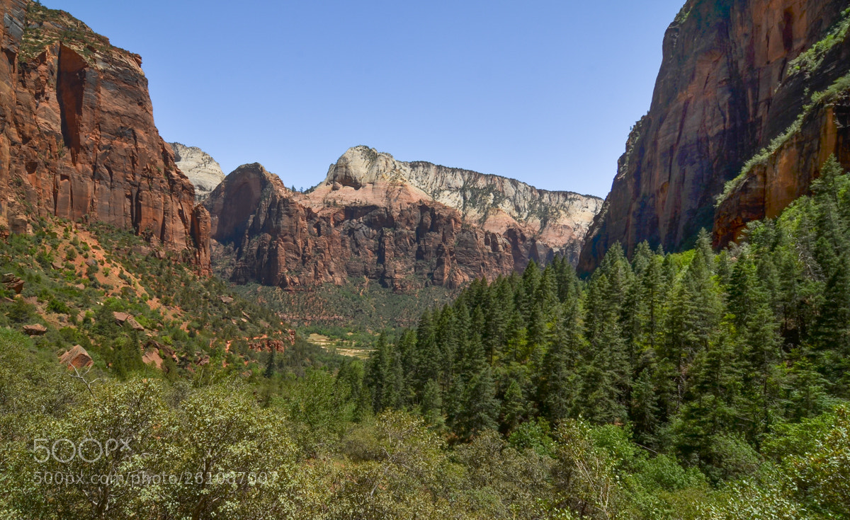 Nikon D7000 sample photo. Zion national park photography
