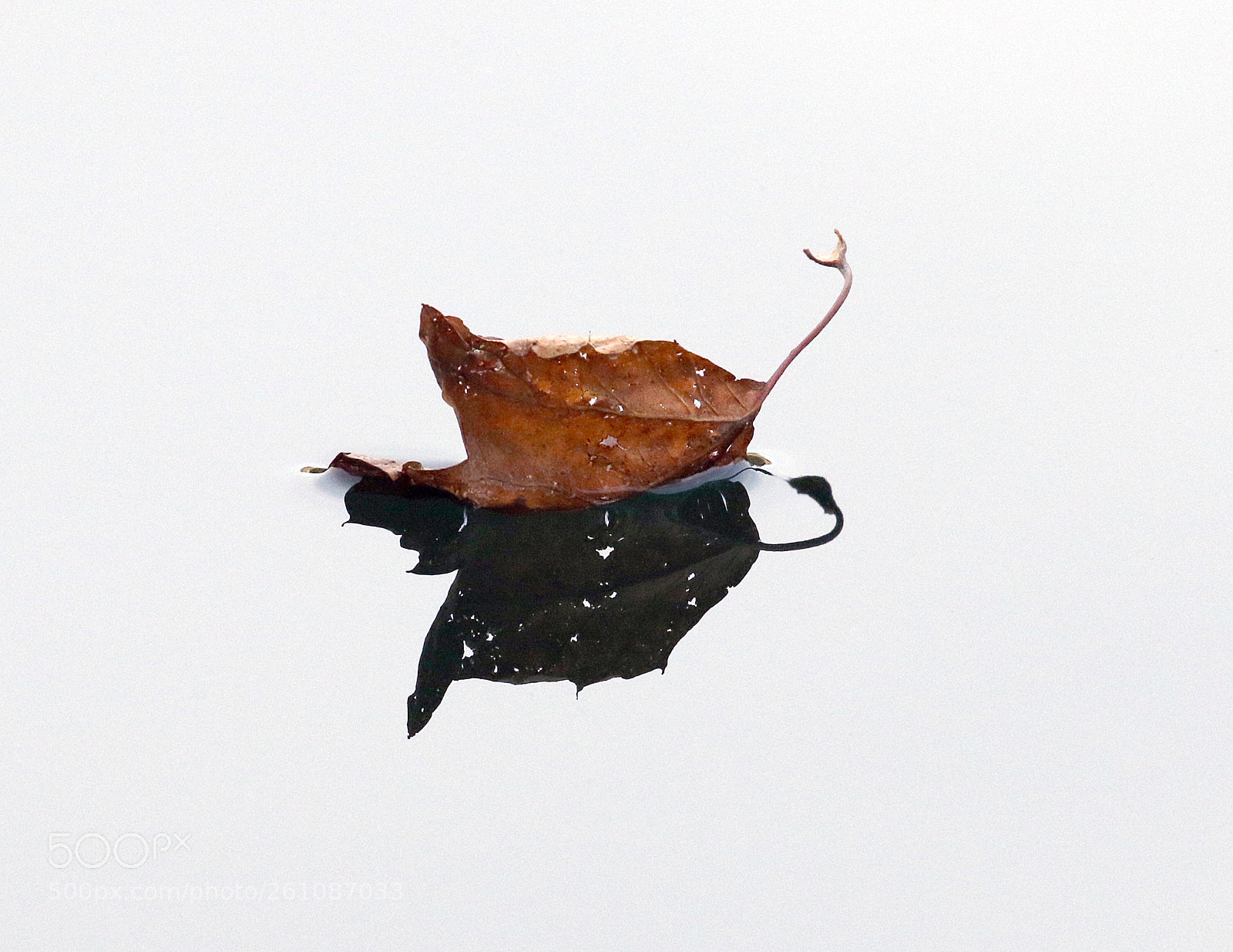 Canon EOS 7D Mark II sample photo. Simple capture photography