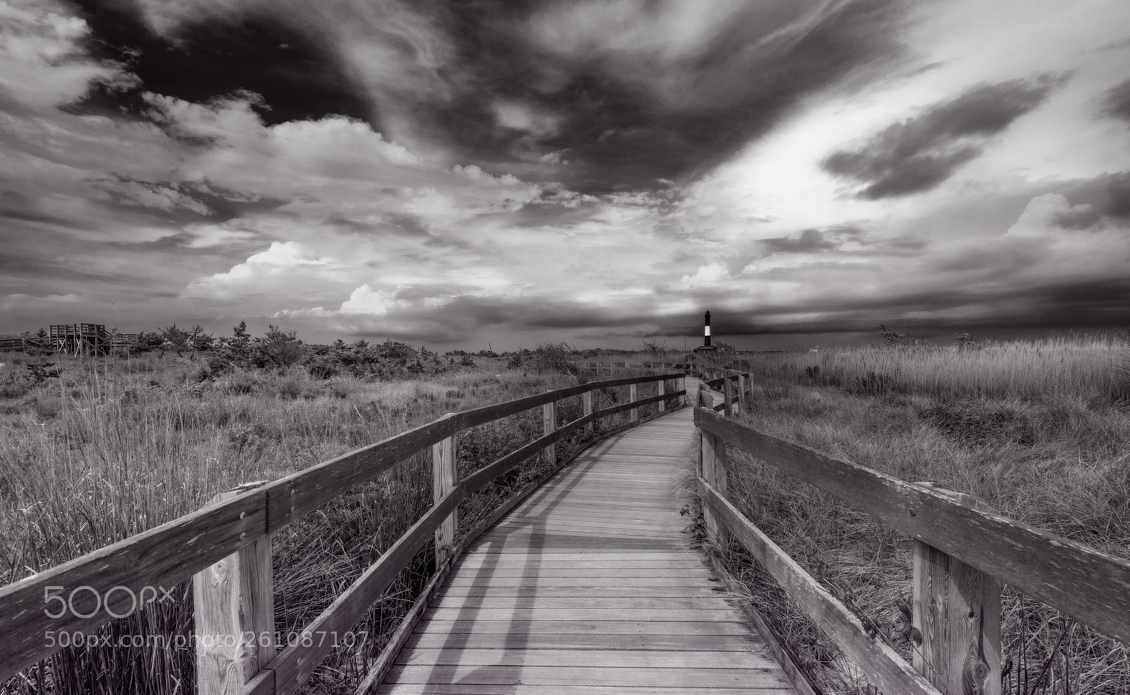 Nikon D850 sample photo. Boardwalk photography