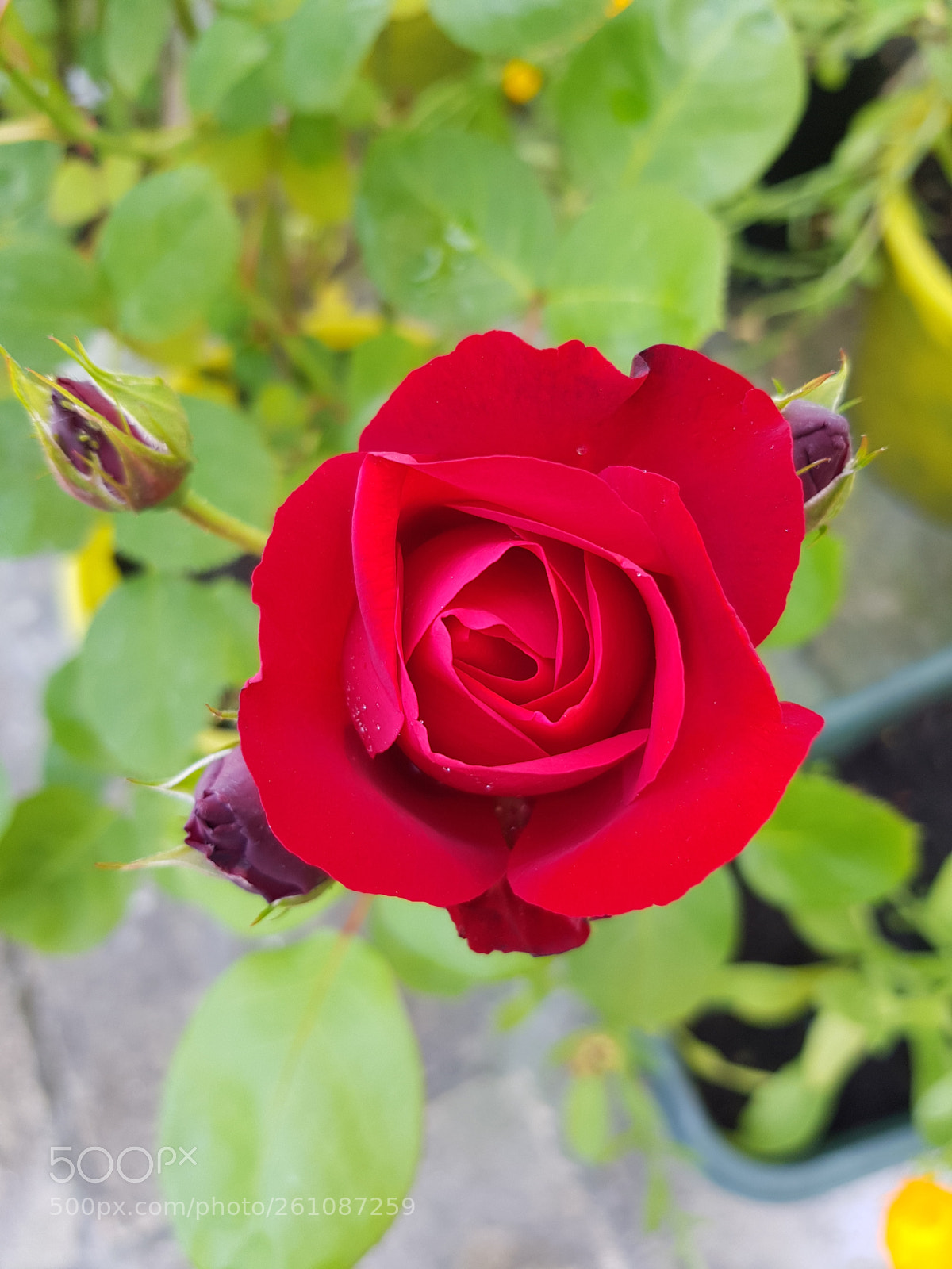 Samsung Galaxy S8 sample photo. Untitled photography