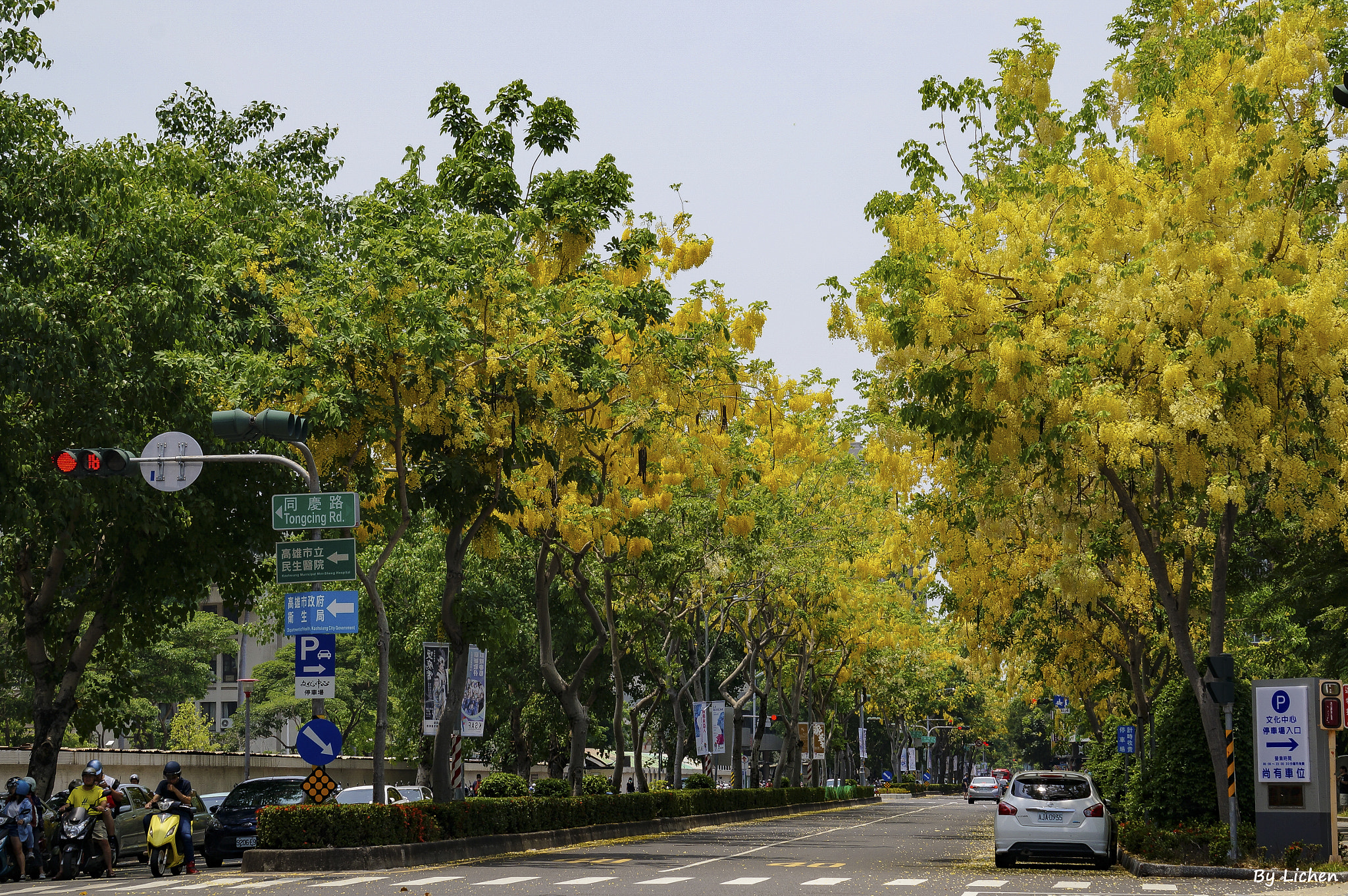 Sony Alpha NEX-6 sample photo. 黃金大道 photography